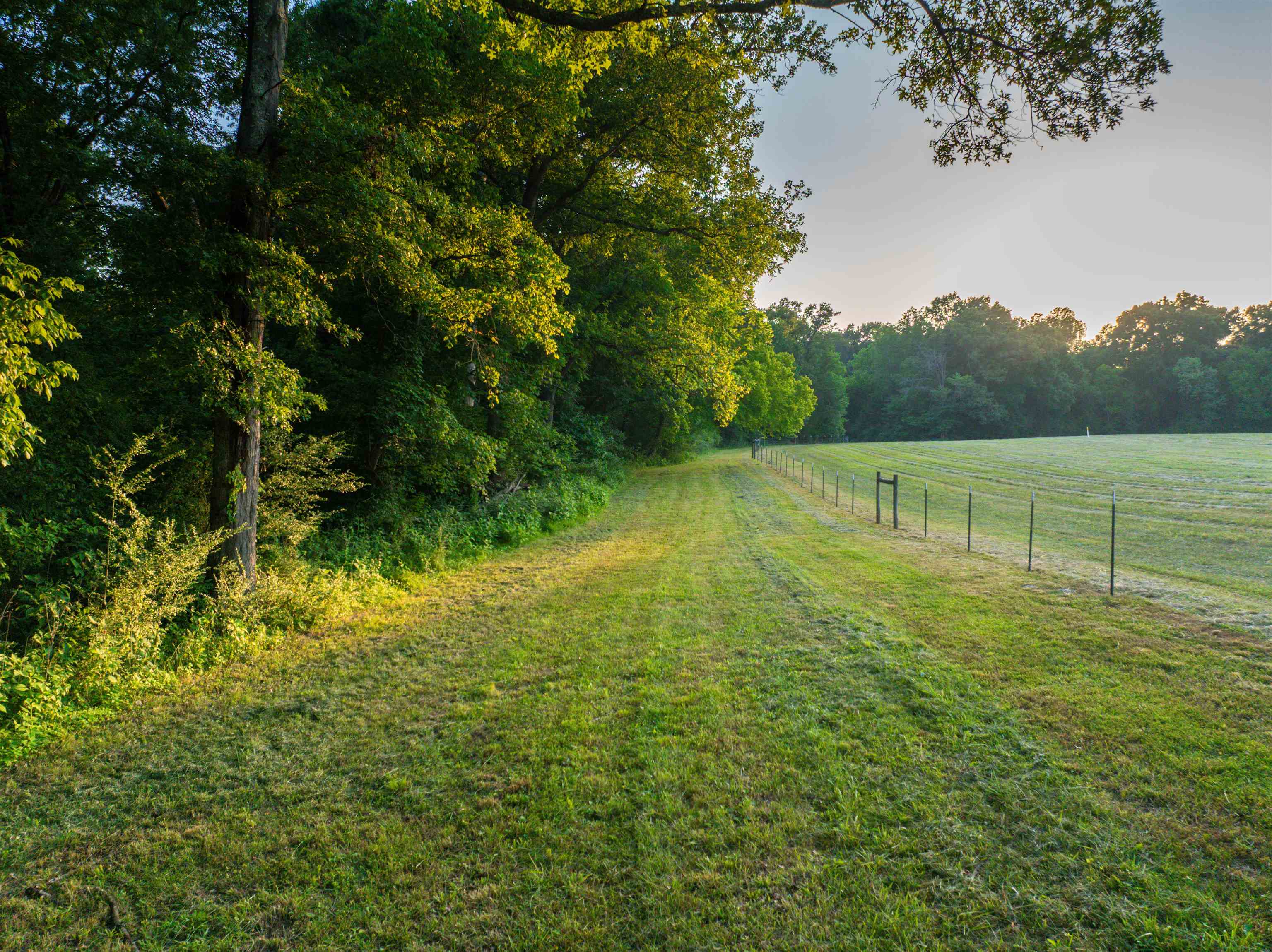 TBD BRIDGEPORT RD, ARVONIA, Virginia 23004, ,Land,14,TBD BRIDGEPORT RD,679306 MLS # 679306 TBD BRIDGEPORT RD, ARVONIA, Virginia 23004, ,Land,14,TBD BRIDGEPORT RD,679306 MLS # 679306