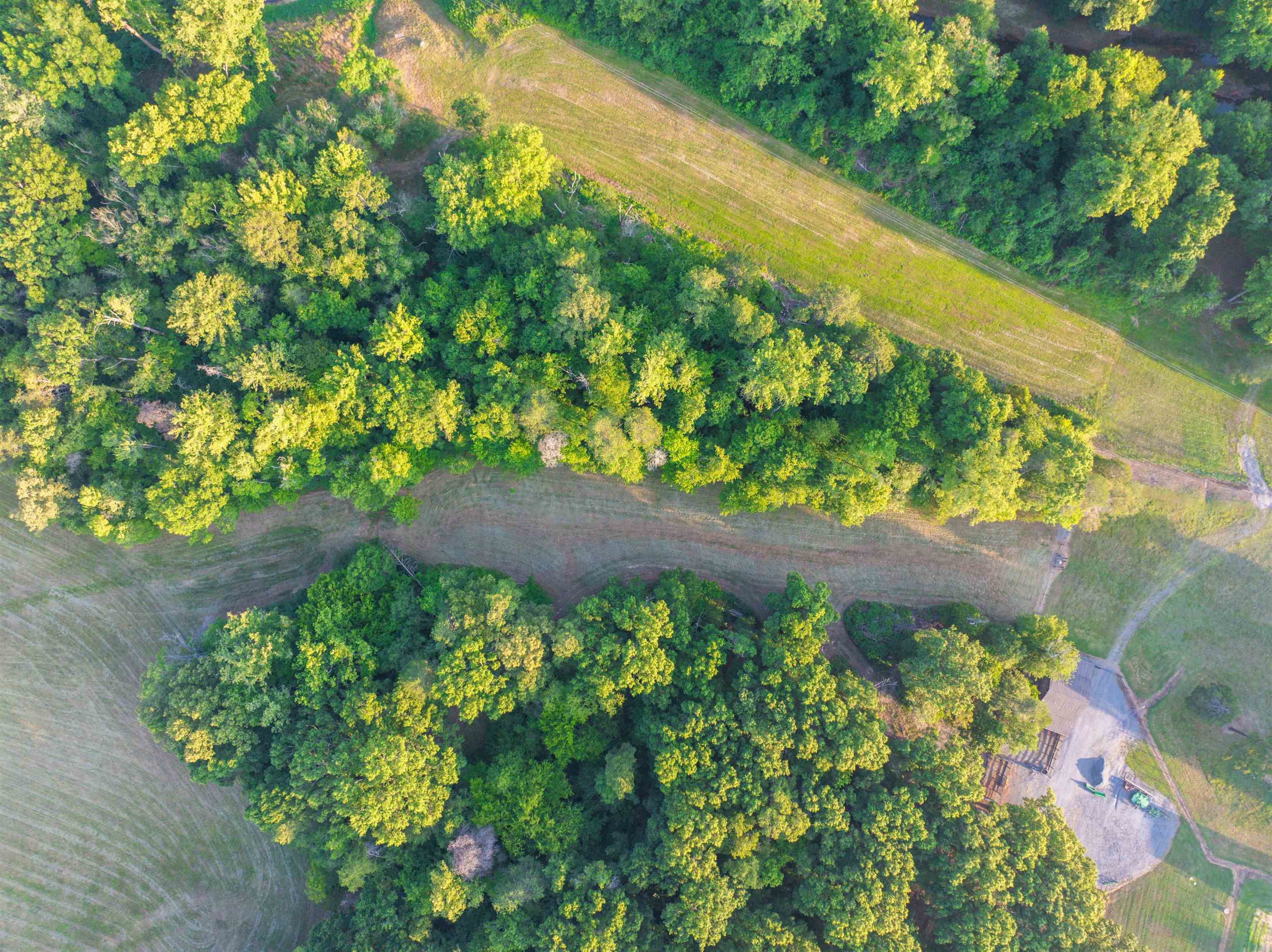 TBD BRIDGEPORT RD, ARVONIA, Virginia 23004, ,Land,14,TBD BRIDGEPORT RD,679306 MLS # 679306 TBD BRIDGEPORT RD, ARVONIA, Virginia 23004, ,Land,14,TBD BRIDGEPORT RD,679306 MLS # 679306