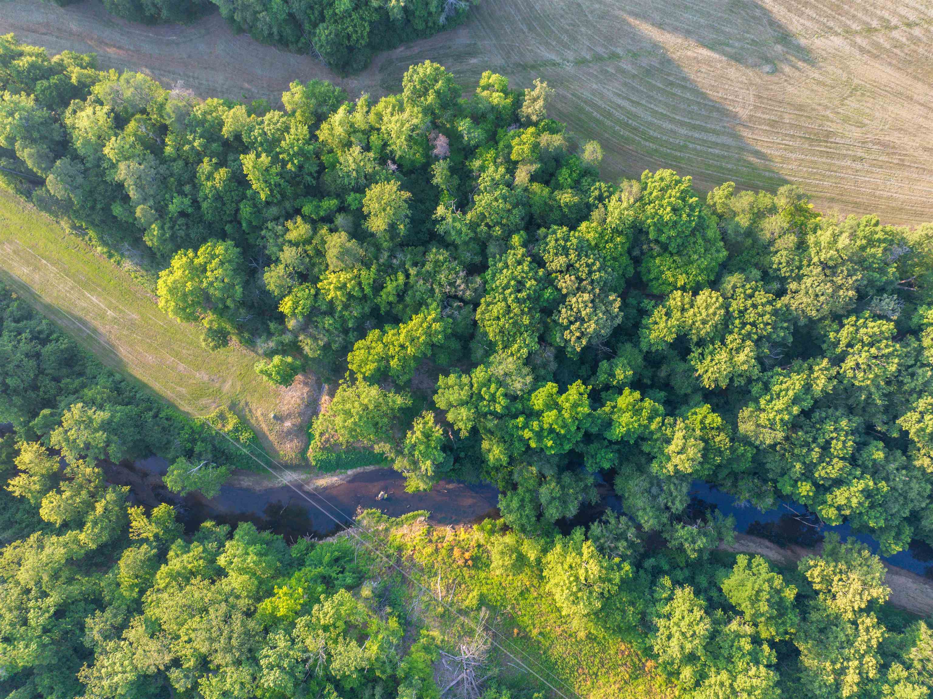 TBD BRIDGEPORT RD, ARVONIA, Virginia 23004, ,Land,14,TBD BRIDGEPORT RD,679306 MLS # 679306 TBD BRIDGEPORT RD, ARVONIA, Virginia 23004, ,Land,14,TBD BRIDGEPORT RD,679306 MLS # 679306