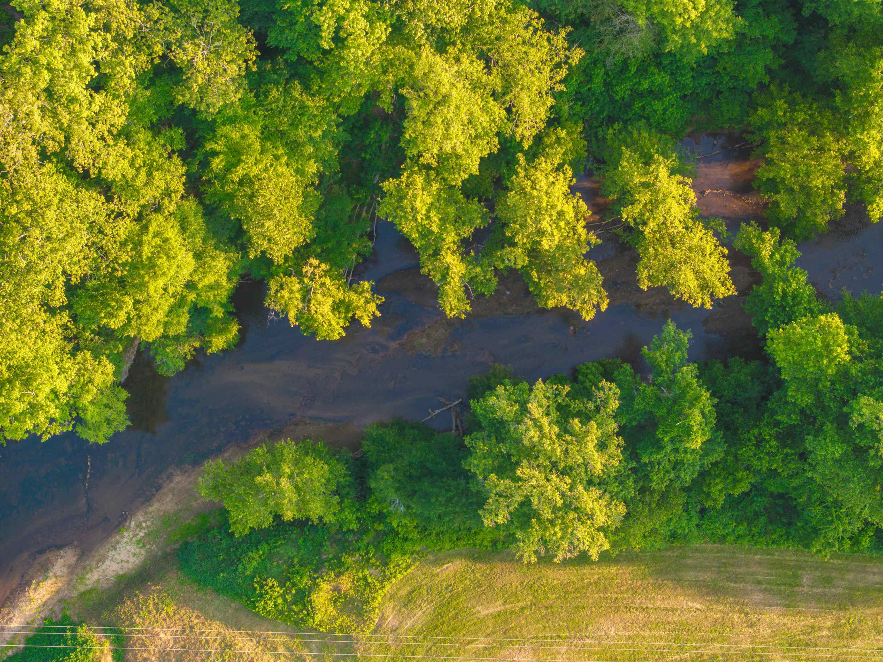 TBD BRIDGEPORT RD, ARVONIA, Virginia 23004, ,Land,14,TBD BRIDGEPORT RD,679306 MLS # 679306 TBD BRIDGEPORT RD, ARVONIA, Virginia 23004, ,Land,14,TBD BRIDGEPORT RD,679306 MLS # 679306