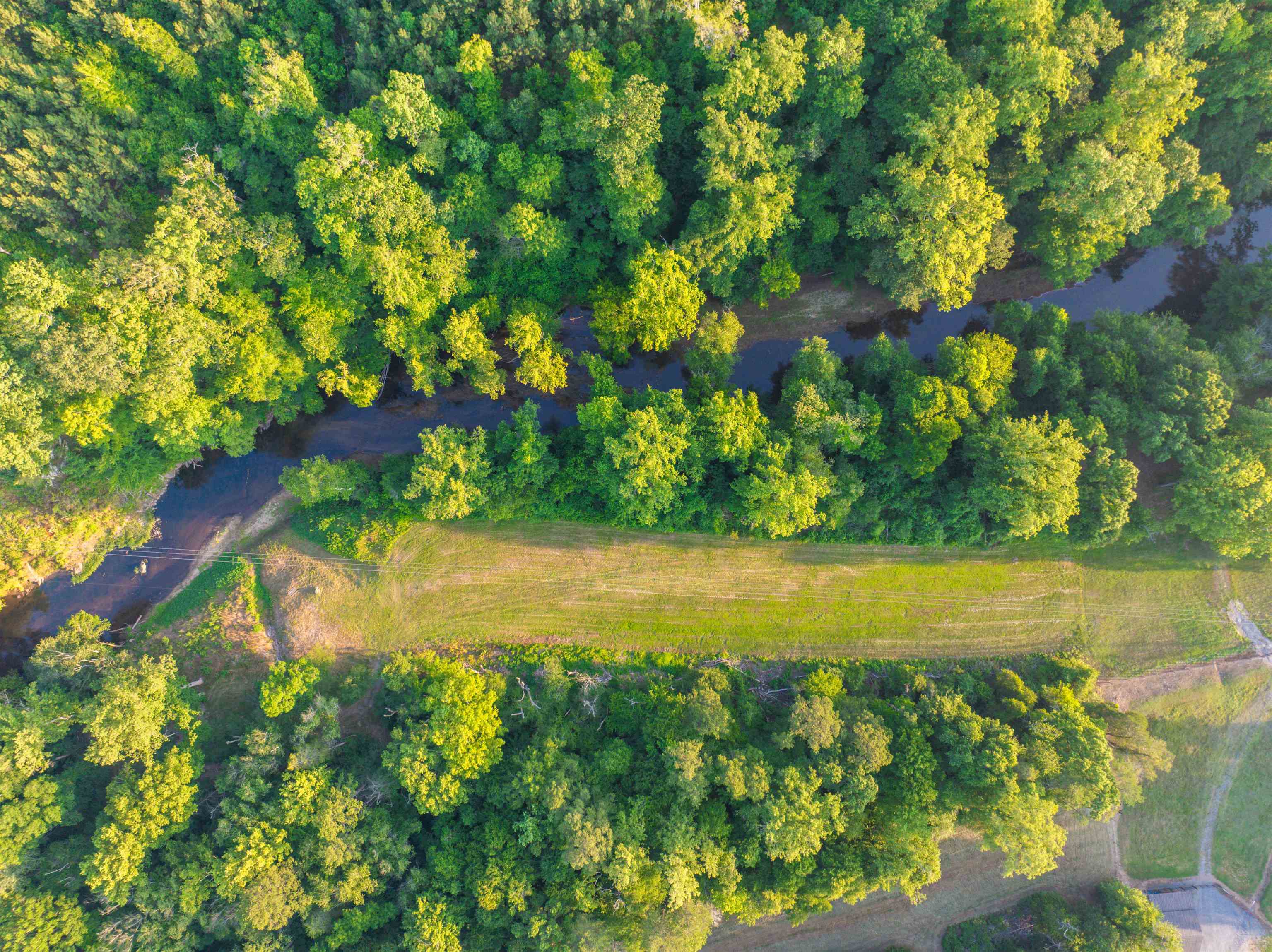 TBD BRIDGEPORT RD, ARVONIA, Virginia 23004, ,Land,14,TBD BRIDGEPORT RD,679306 MLS # 679306 TBD BRIDGEPORT RD, ARVONIA, Virginia 23004, ,Land,14,TBD BRIDGEPORT RD,679306 MLS # 679306