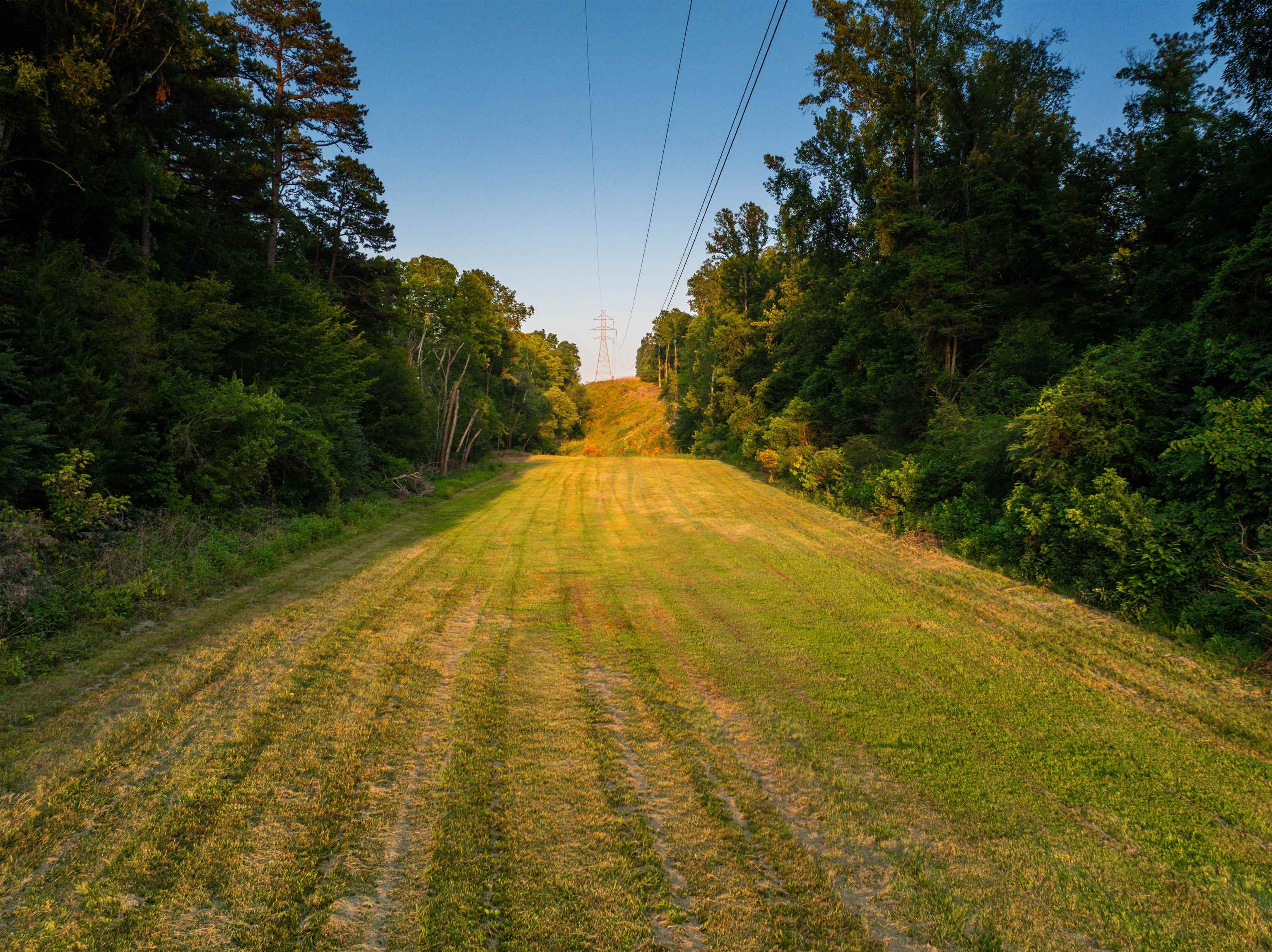 TBD BRIDGEPORT RD, ARVONIA, Virginia 23004, ,Land,14,TBD BRIDGEPORT RD,679306 MLS # 679306 TBD BRIDGEPORT RD, ARVONIA, Virginia 23004, ,Land,14,TBD BRIDGEPORT RD,679306 MLS # 679306