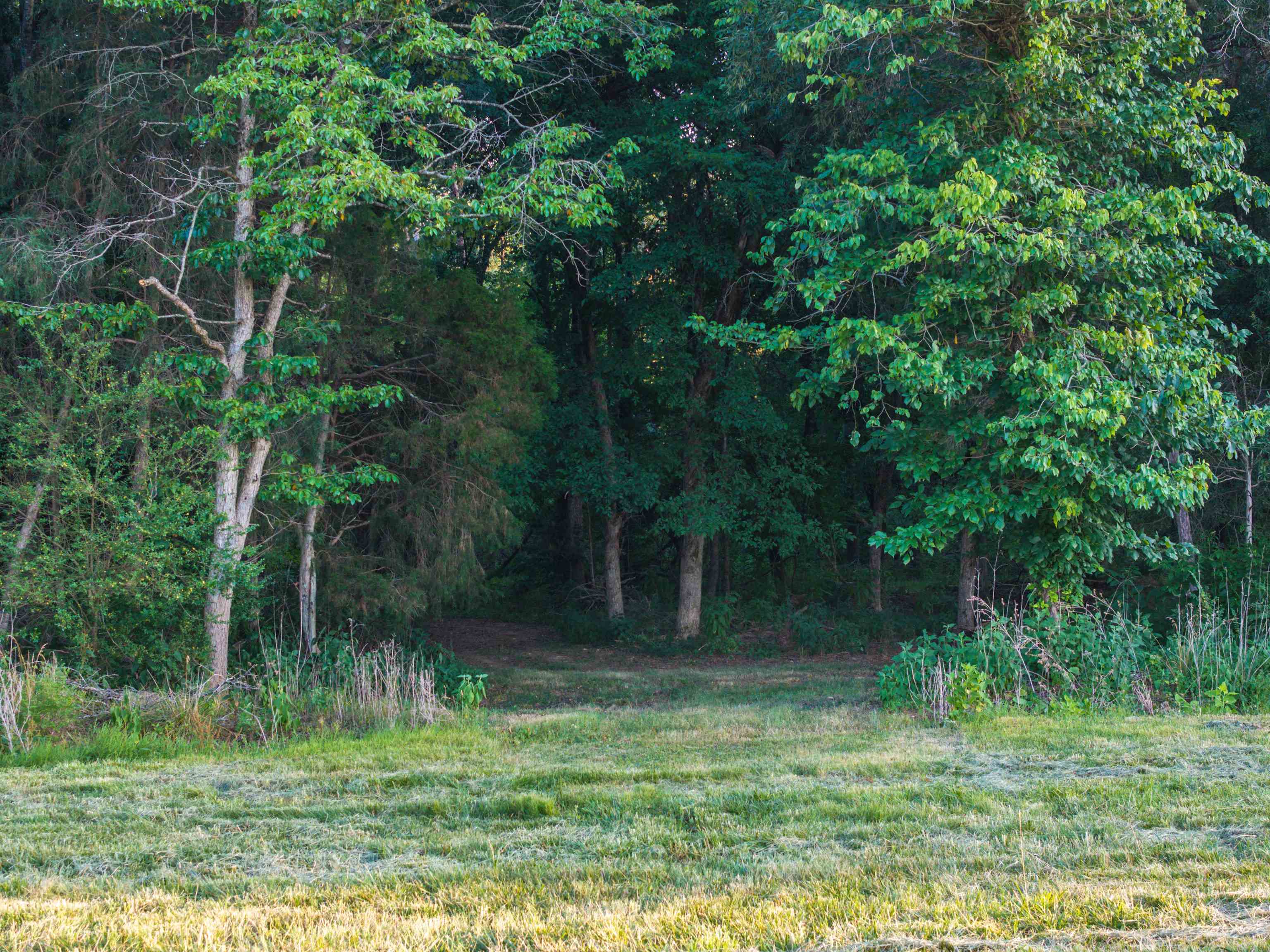TBD BRIDGEPORT RD, ARVONIA, Virginia 23004, ,Land,14,TBD BRIDGEPORT RD,679306 MLS # 679306 TBD BRIDGEPORT RD, ARVONIA, Virginia 23004, ,Land,14,TBD BRIDGEPORT RD,679306 MLS # 679306