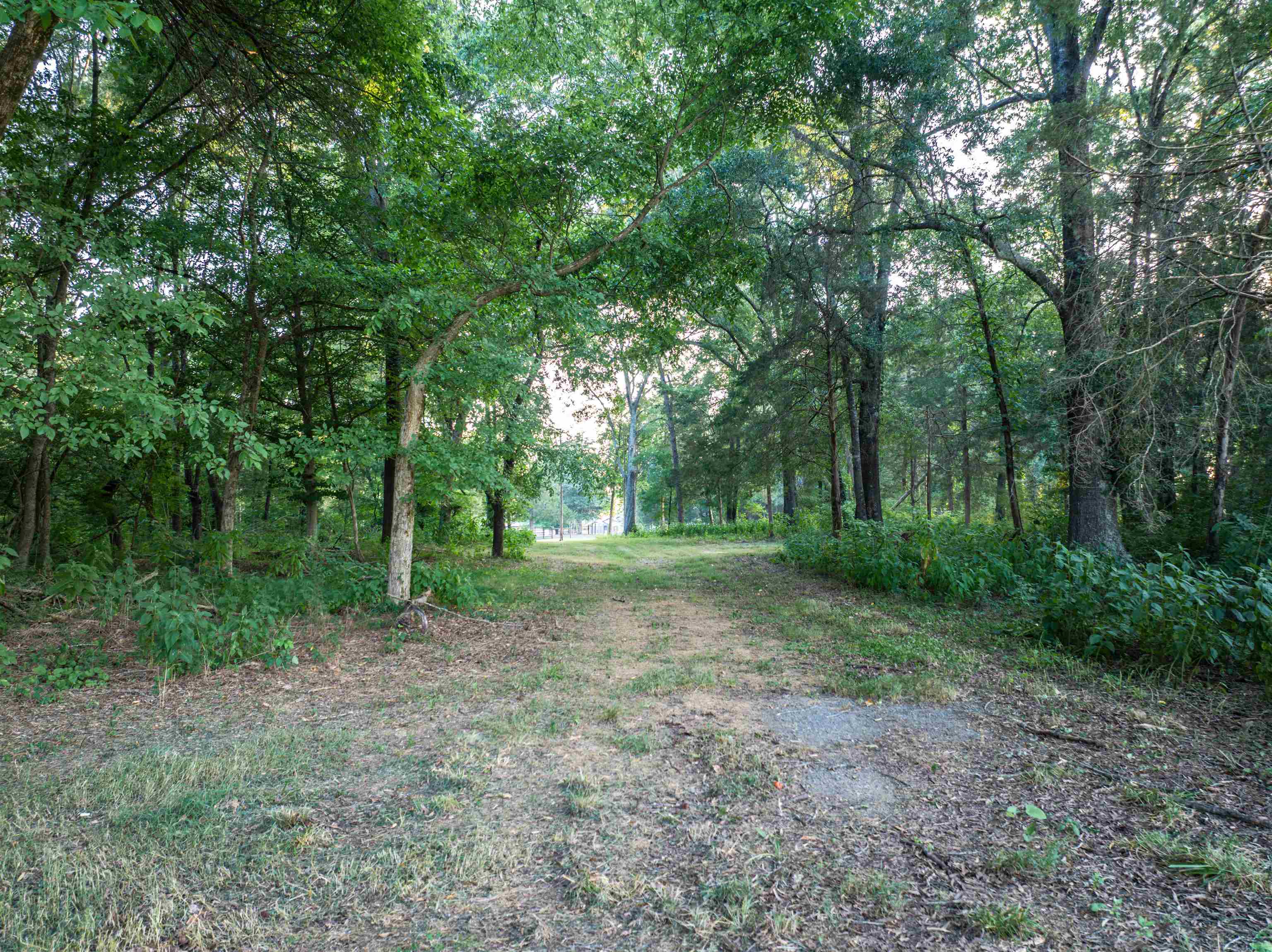 TBD BRIDGEPORT RD, ARVONIA, Virginia 23004, ,Land,14,TBD BRIDGEPORT RD,679306 MLS # 679306 TBD BRIDGEPORT RD, ARVONIA, Virginia 23004, ,Land,14,TBD BRIDGEPORT RD,679306 MLS # 679306