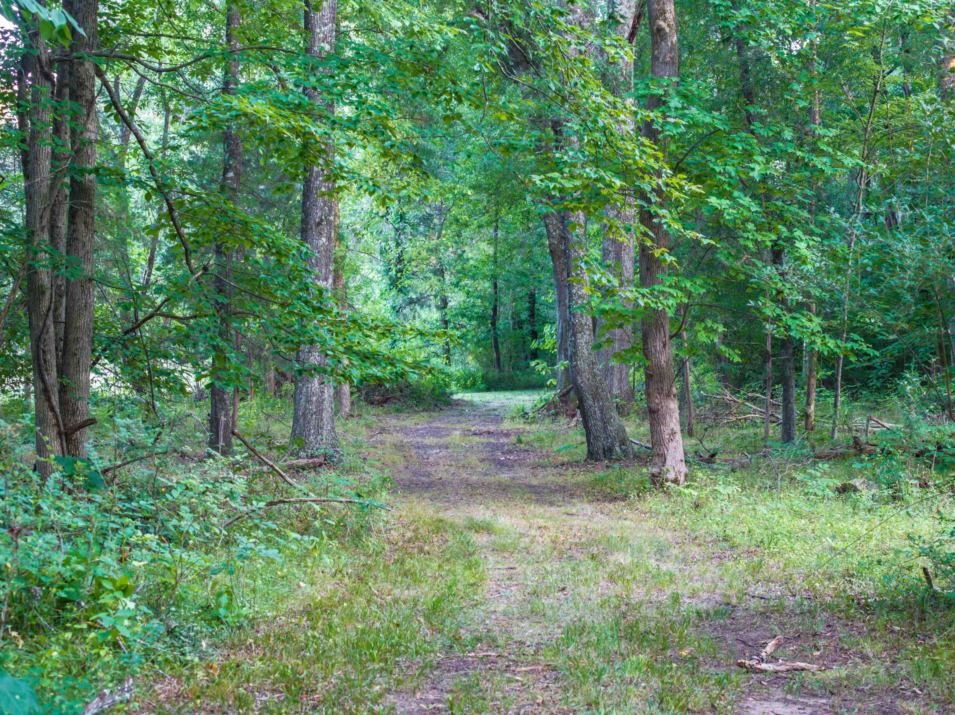 TBD BRIDGEPORT RD, ARVONIA, Virginia 23004, ,Land,14,TBD BRIDGEPORT RD,679306 MLS # 679306 TBD BRIDGEPORT RD, ARVONIA, Virginia 23004, ,Land,14,TBD BRIDGEPORT RD,679306 MLS # 679306