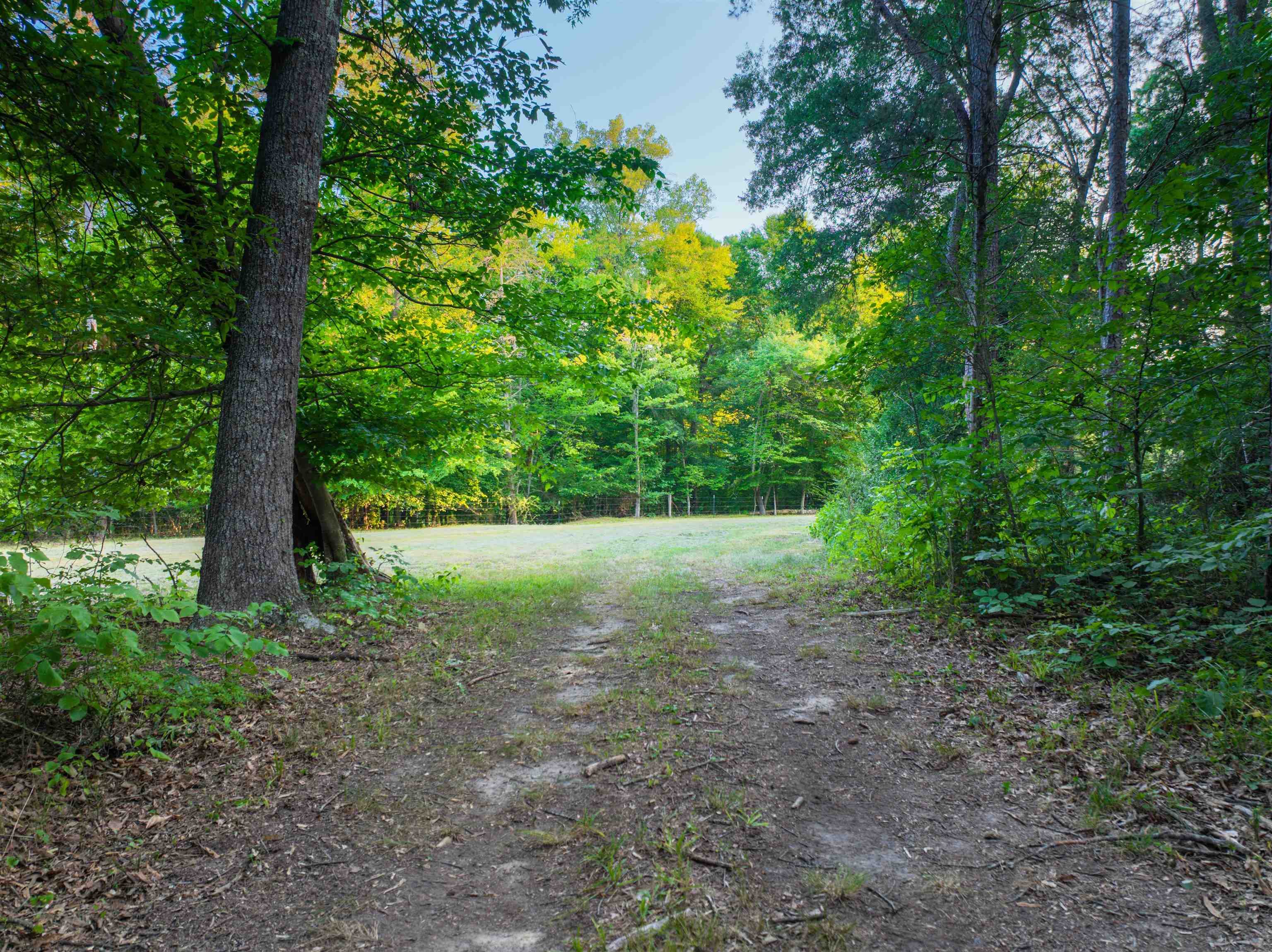 TBD BRIDGEPORT RD, ARVONIA, Virginia 23004, ,Land,14,TBD BRIDGEPORT RD,679306 MLS # 679306 TBD BRIDGEPORT RD, ARVONIA, Virginia 23004, ,Land,14,TBD BRIDGEPORT RD,679306 MLS # 679306