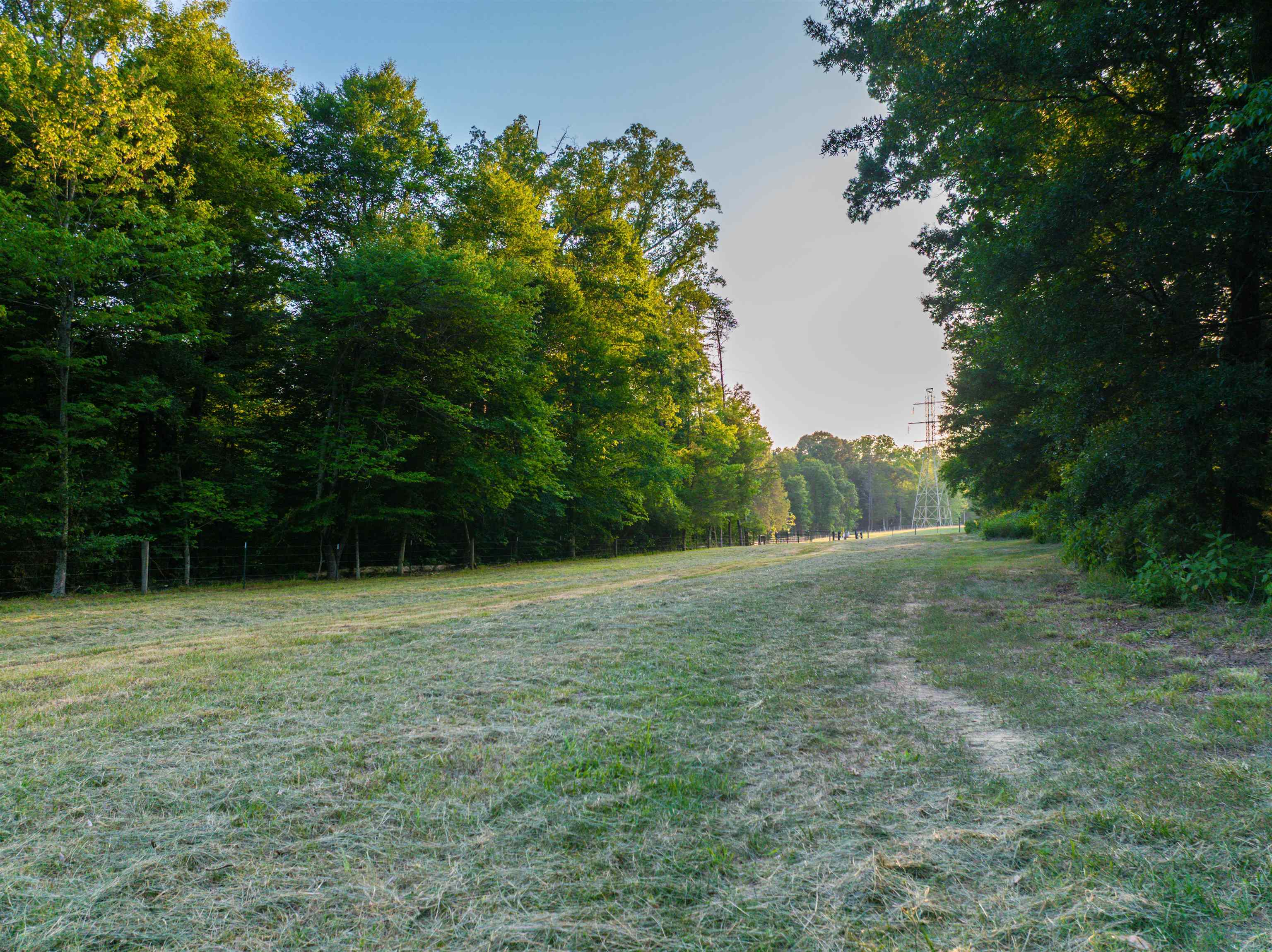 TBD BRIDGEPORT RD, ARVONIA, Virginia 23004, ,Land,14,TBD BRIDGEPORT RD,679306 MLS # 679306 TBD BRIDGEPORT RD, ARVONIA, Virginia 23004, ,Land,14,TBD BRIDGEPORT RD,679306 MLS # 679306