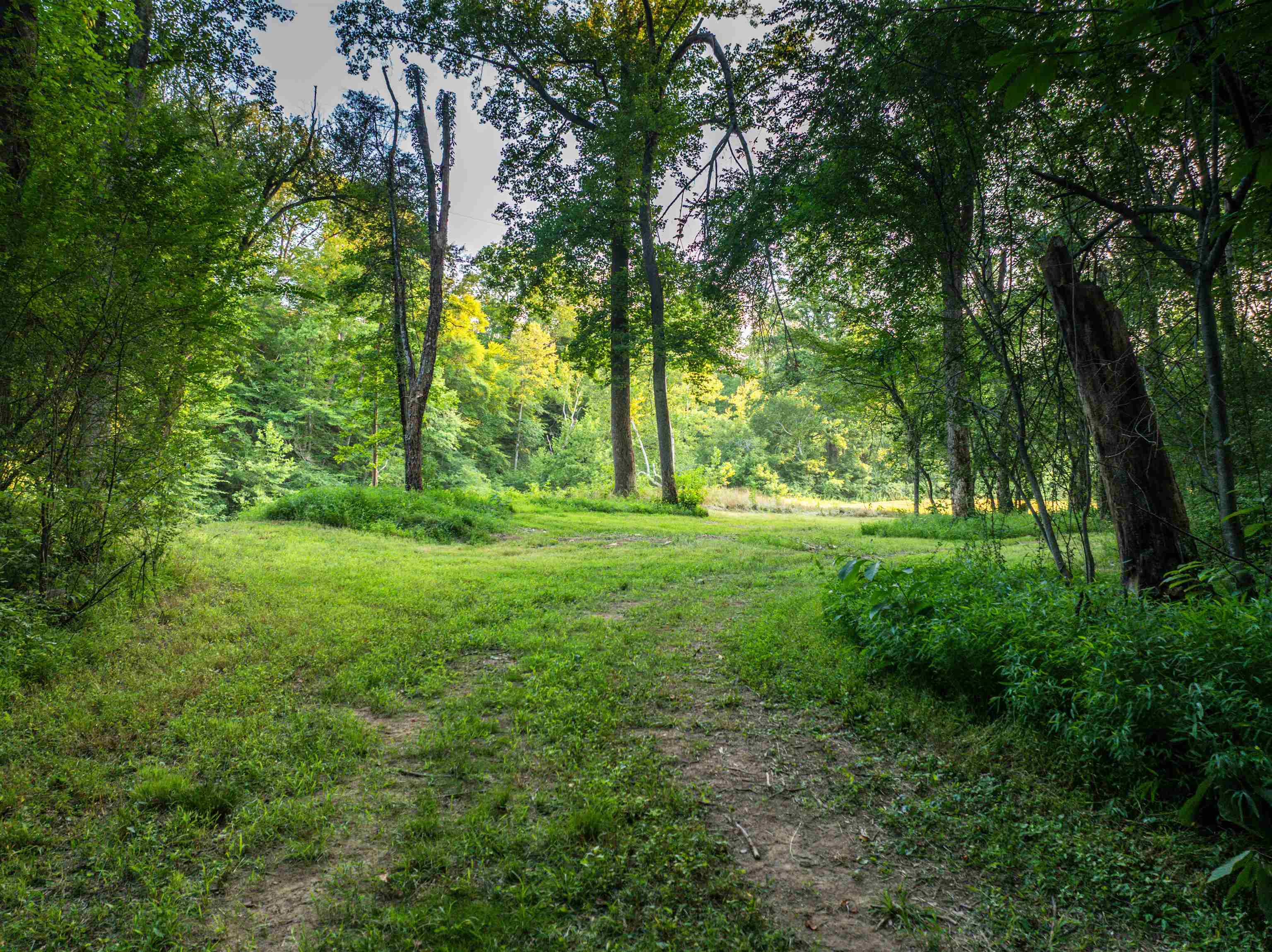 TBD BRIDGEPORT RD, ARVONIA, Virginia 23004, ,Land,14,TBD BRIDGEPORT RD,679306 MLS # 679306 TBD BRIDGEPORT RD, ARVONIA, Virginia 23004, ,Land,14,TBD BRIDGEPORT RD,679306 MLS # 679306