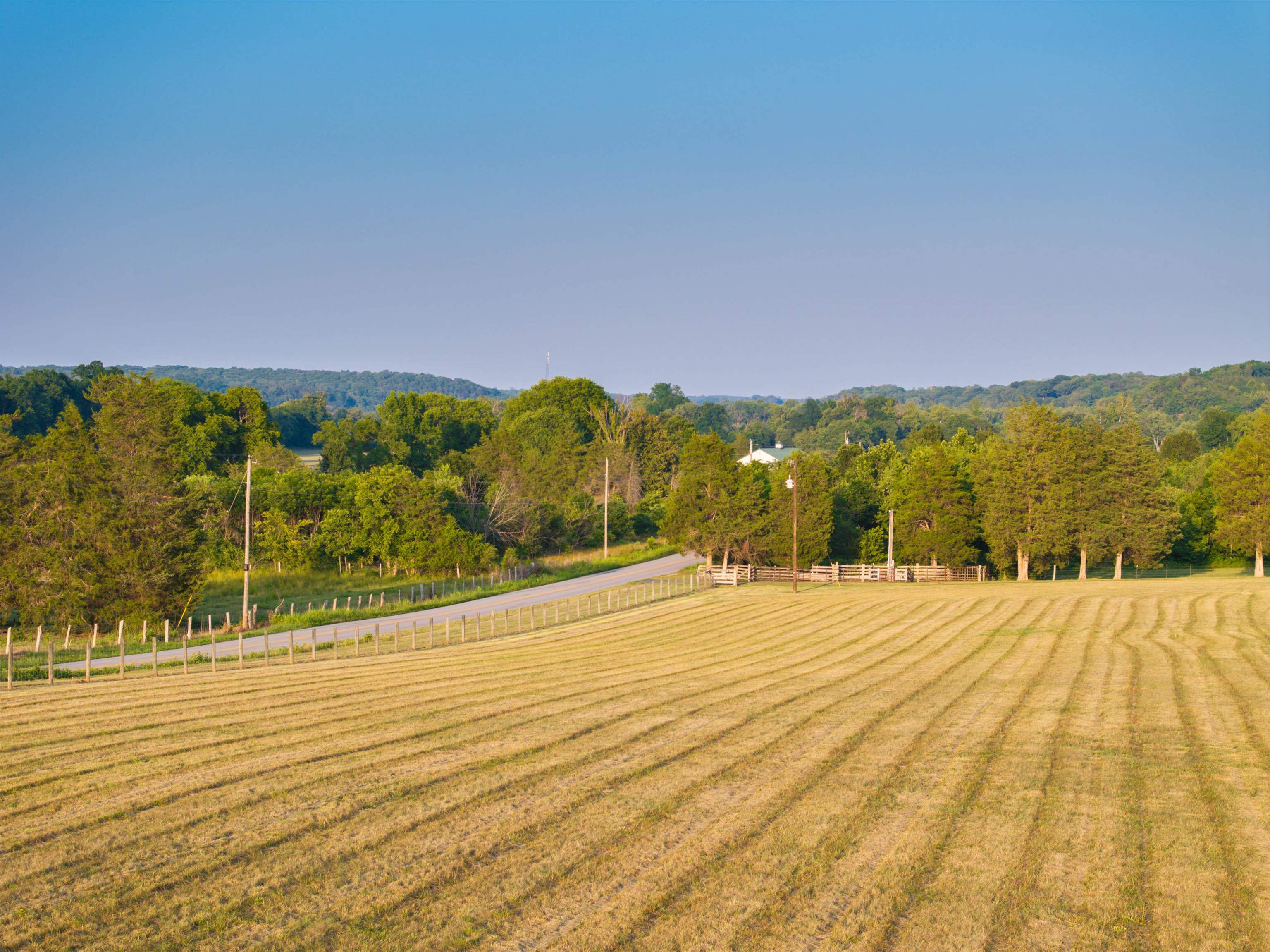 TBD BRIDGEPORT RD, ARVONIA, Virginia 23004, ,Land,14,TBD BRIDGEPORT RD,679306 MLS # 679306 TBD BRIDGEPORT RD, ARVONIA, Virginia 23004, ,Land,14,TBD BRIDGEPORT RD,679306 MLS # 679306