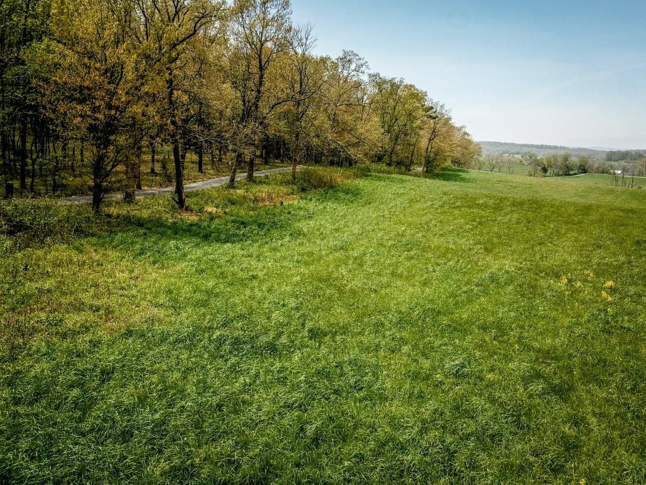 TBD GRASSLAND LN, BROADWAY, Virginia 22815, ,Land,14,TBD GRASSLAND LN,679352 MLS # 679352