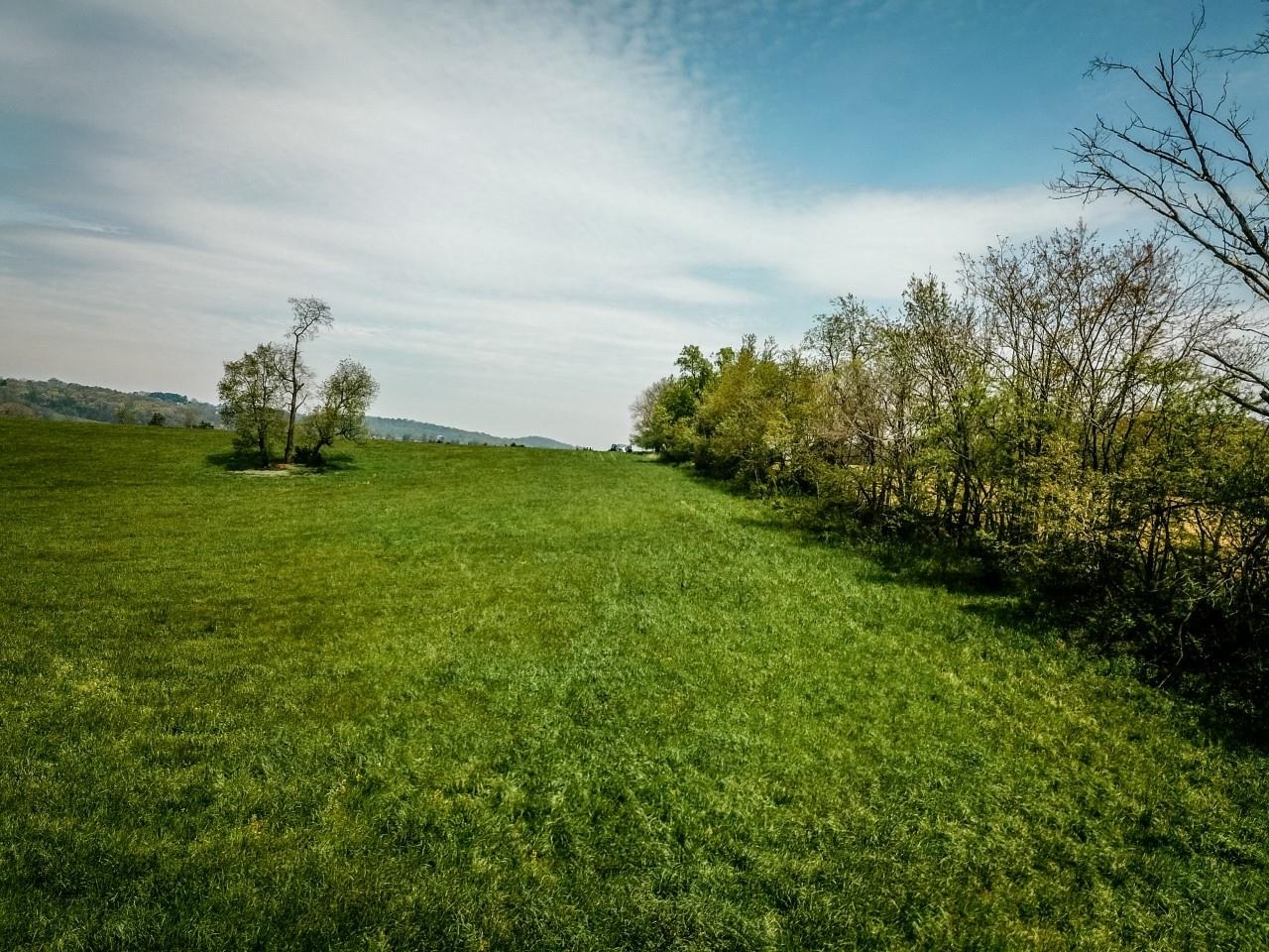 TBD GRASSLAND LN, BROADWAY, Virginia 22815, ,Land,14,TBD GRASSLAND LN,679352 MLS # 679352