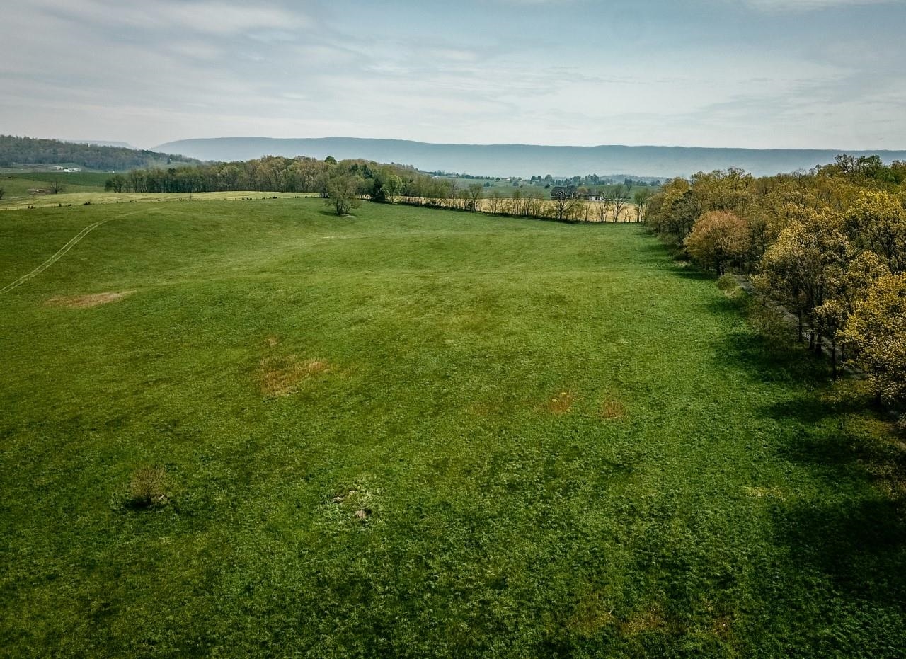 TBD GRASSLAND LN, BROADWAY, Virginia 22815, ,Land,14,TBD GRASSLAND LN,679352 MLS # 679352