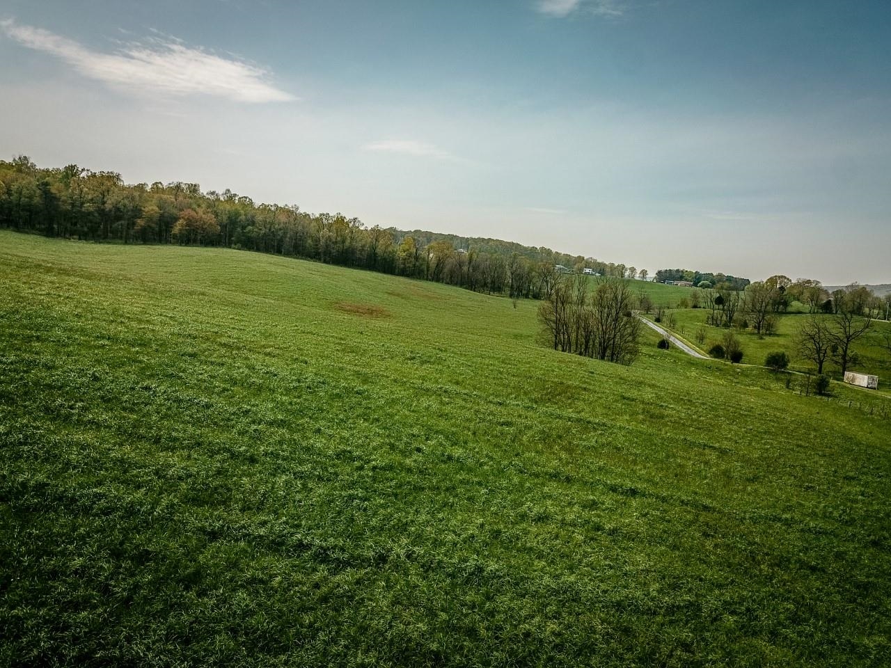 TBD GRASSLAND LN, BROADWAY, Virginia 22815, ,Land,14,TBD GRASSLAND LN,679352 MLS # 679352