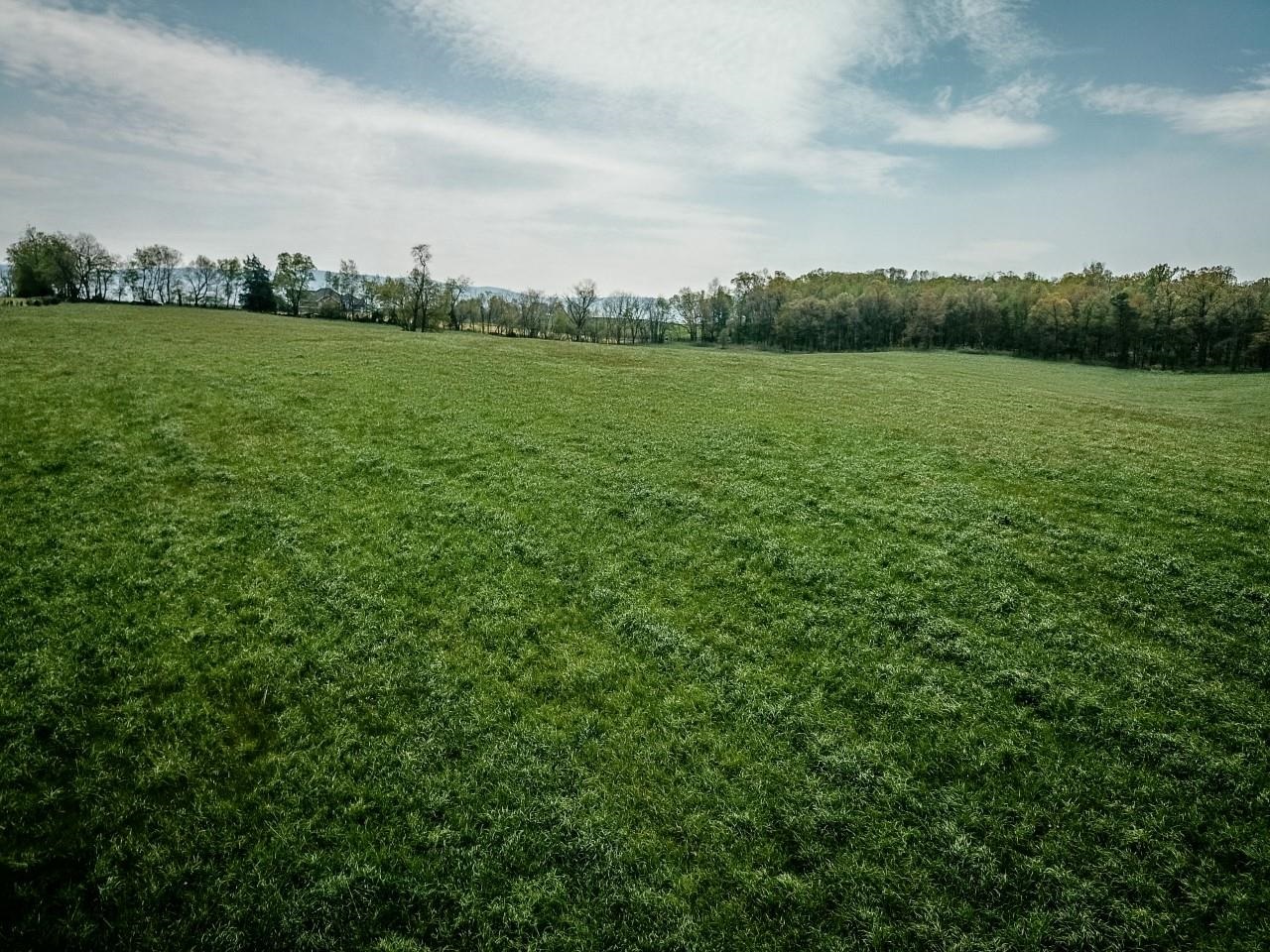 TBD GRASSLAND LN, BROADWAY, Virginia 22815, ,Land,14,TBD GRASSLAND LN,679352 MLS # 679352