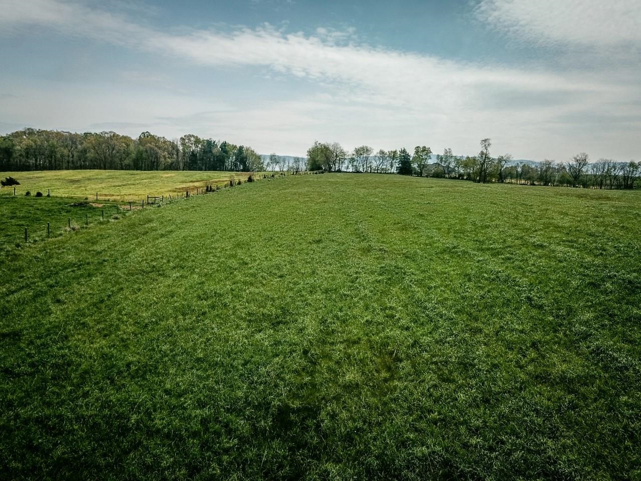 TBD GRASSLAND LN, BROADWAY, Virginia 22815, ,Land,14,TBD GRASSLAND LN,679352 MLS # 679352
