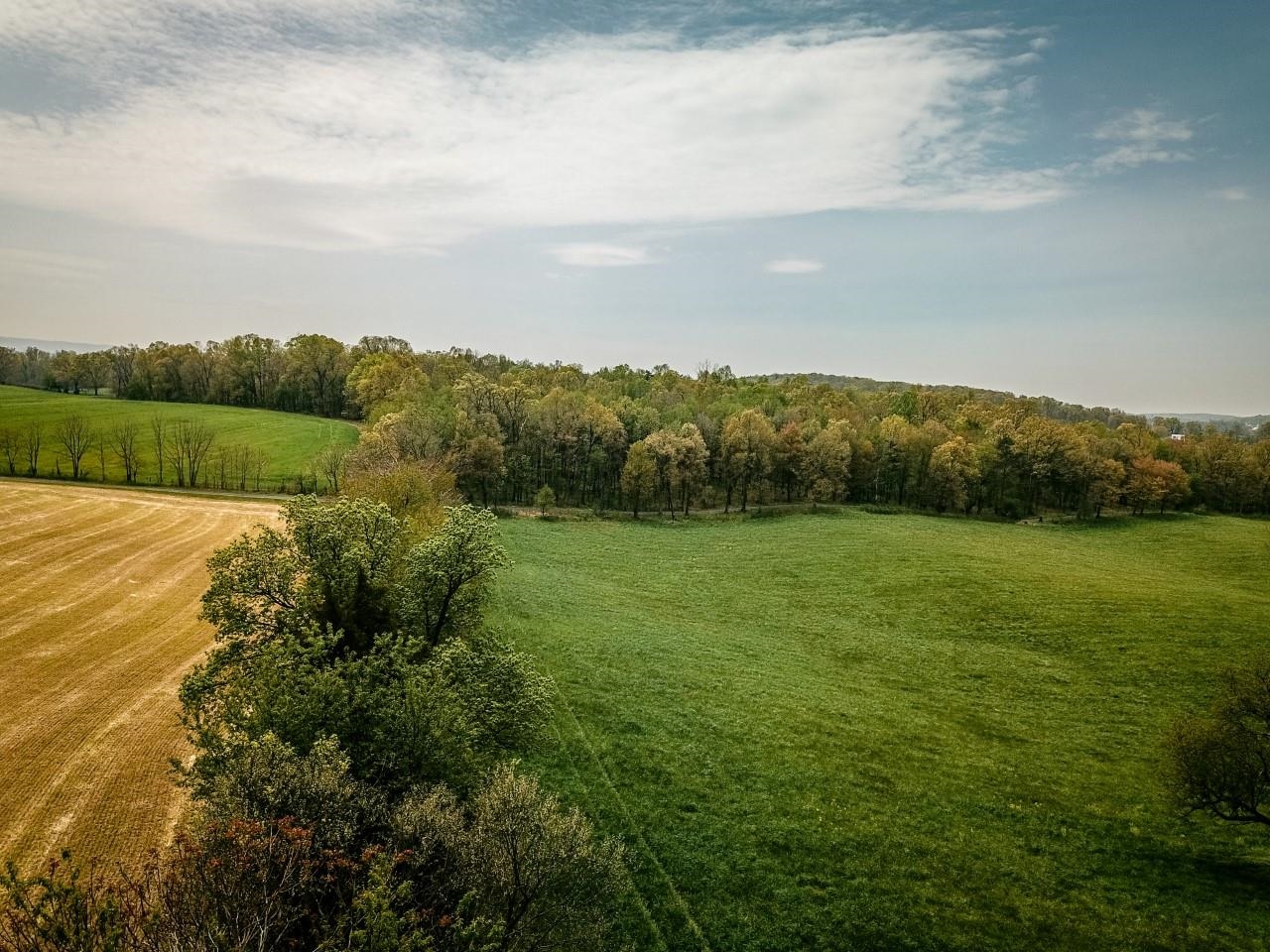 TBD GRASSLAND LN, BROADWAY, Virginia 22815, ,Land,14,TBD GRASSLAND LN,679352 MLS # 679352