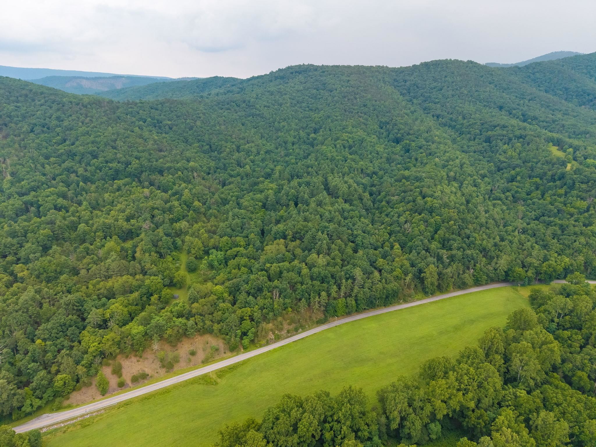 tbd CRIDERS RD, BERGTON, Virginia 22811, ,Farm,14,tbd CRIDERS RD,679349 MLS # 679349 tbd CRIDERS RD, BERGTON, Virginia 22811, ,Farm,14,tbd CRIDERS RD,679349 MLS # 679349