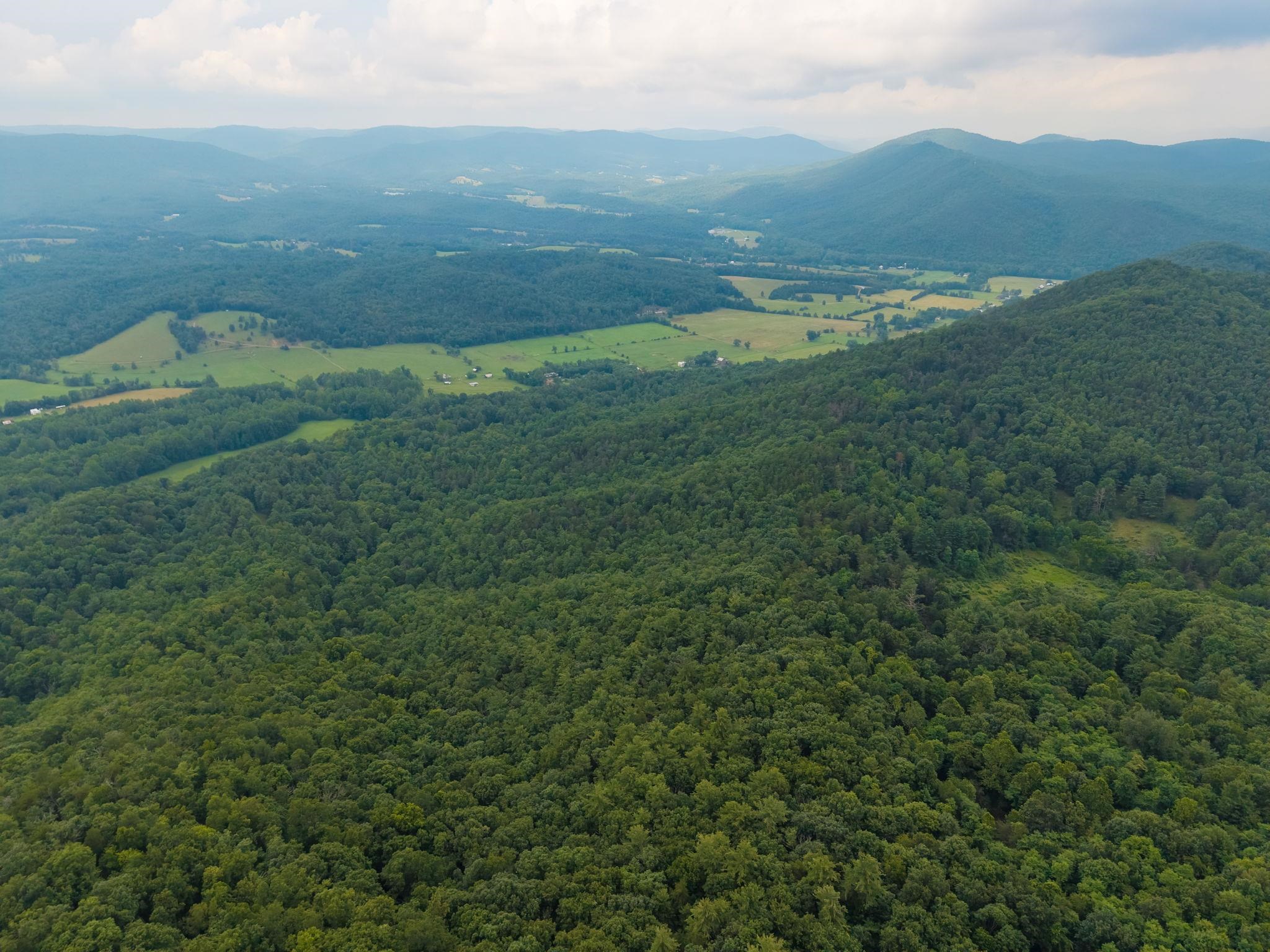 tbd CRIDERS RD, BERGTON, Virginia 22811, ,Farm,14,tbd CRIDERS RD,679349 MLS # 679349 tbd CRIDERS RD, BERGTON, Virginia 22811, ,Farm,14,tbd CRIDERS RD,679349 MLS # 679349