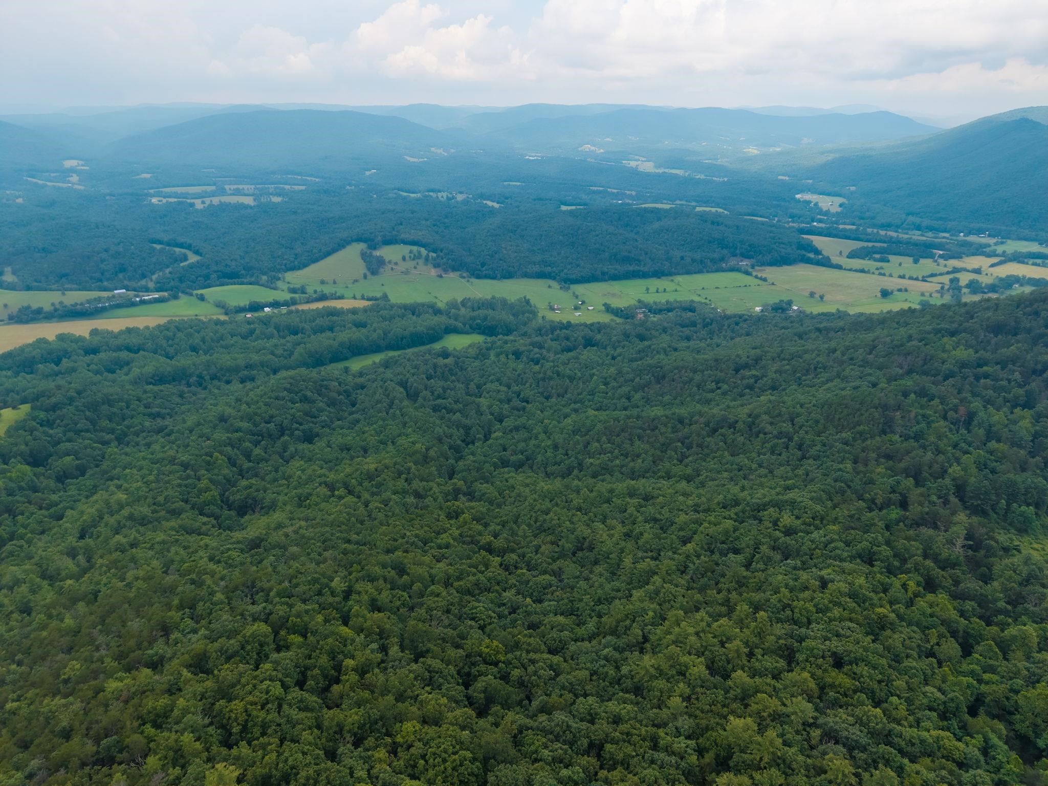 tbd CRIDERS RD, BERGTON, Virginia 22811, ,Farm,14,tbd CRIDERS RD,679349 MLS # 679349 tbd CRIDERS RD, BERGTON, Virginia 22811, ,Farm,14,tbd CRIDERS RD,679349 MLS # 679349