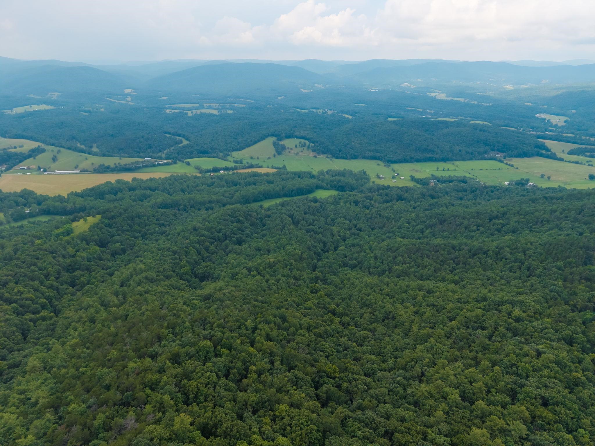 tbd CRIDERS RD, BERGTON, Virginia 22811, ,Farm,14,tbd CRIDERS RD,679349 MLS # 679349 tbd CRIDERS RD, BERGTON, Virginia 22811, ,Farm,14,tbd CRIDERS RD,679349 MLS # 679349
