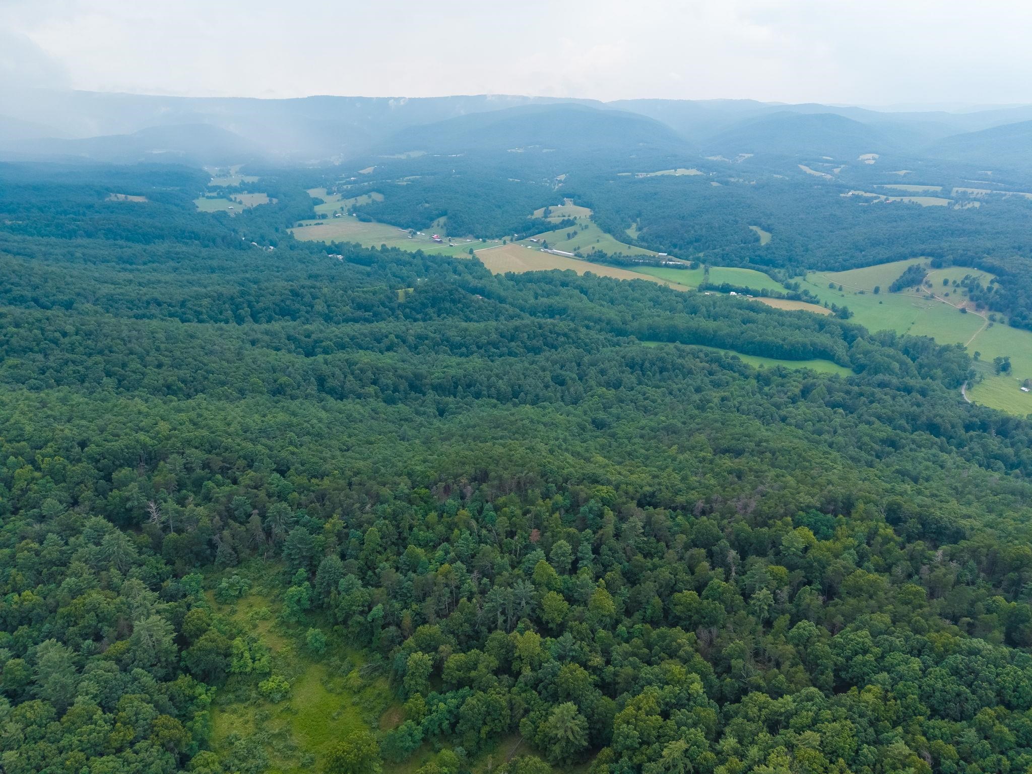 tbd CRIDERS RD, BERGTON, Virginia 22811, ,Farm,14,tbd CRIDERS RD,679349 MLS # 679349 tbd CRIDERS RD, BERGTON, Virginia 22811, ,Farm,14,tbd CRIDERS RD,679349 MLS # 679349