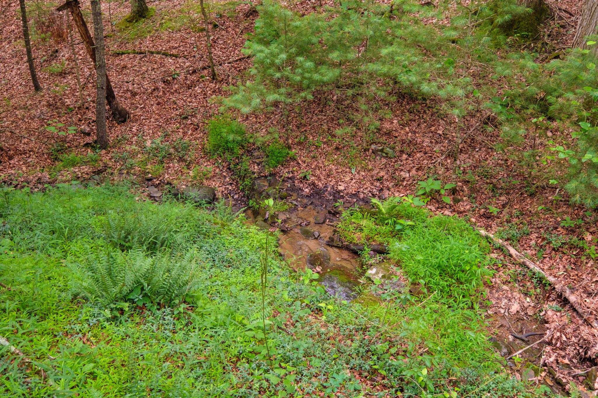 tbd CRIDERS RD, BERGTON, Virginia 22811, ,Farm,14,tbd CRIDERS RD,679349 MLS # 679349 tbd CRIDERS RD, BERGTON, Virginia 22811, ,Farm,14,tbd CRIDERS RD,679349 MLS # 679349