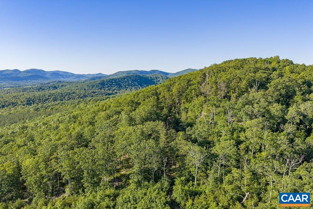 695 LAUREL RD, FABER, Virginia 22938, ,Farm,14,695 LAUREL RD,679017 MLS # 679017