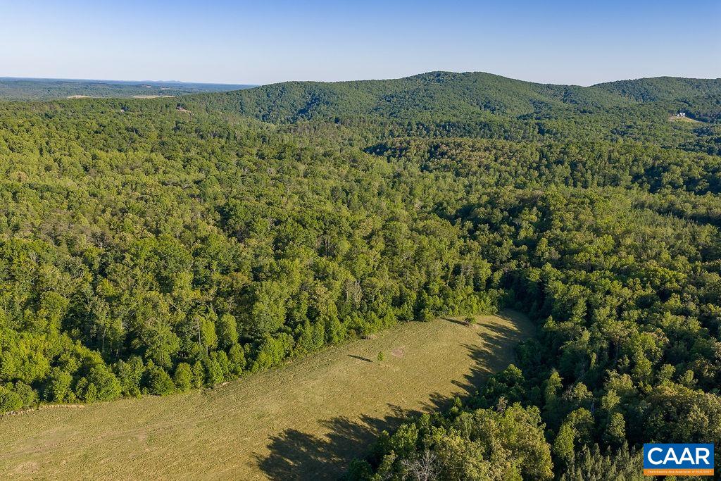 695 LAUREL RD, FABER, Virginia 22938, ,Farm,14,695 LAUREL RD,679017 MLS # 679017