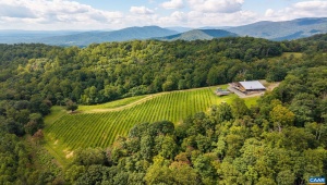 1376E WYATT MOUNTAIN RD DYKE Virginia 22935
