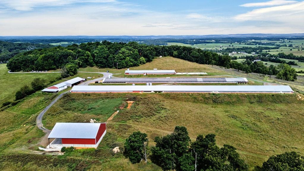 147 COLEYTOWN RD, WAYNESBORO, Virginia 22980, ,Land,14,147 COLEYTOWN RD,679788 MLS # 679788 147 COLEYTOWN RD, WAYNESBORO, Virginia 22980, ,Land,14,147 COLEYTOWN RD,679788 MLS # 679788