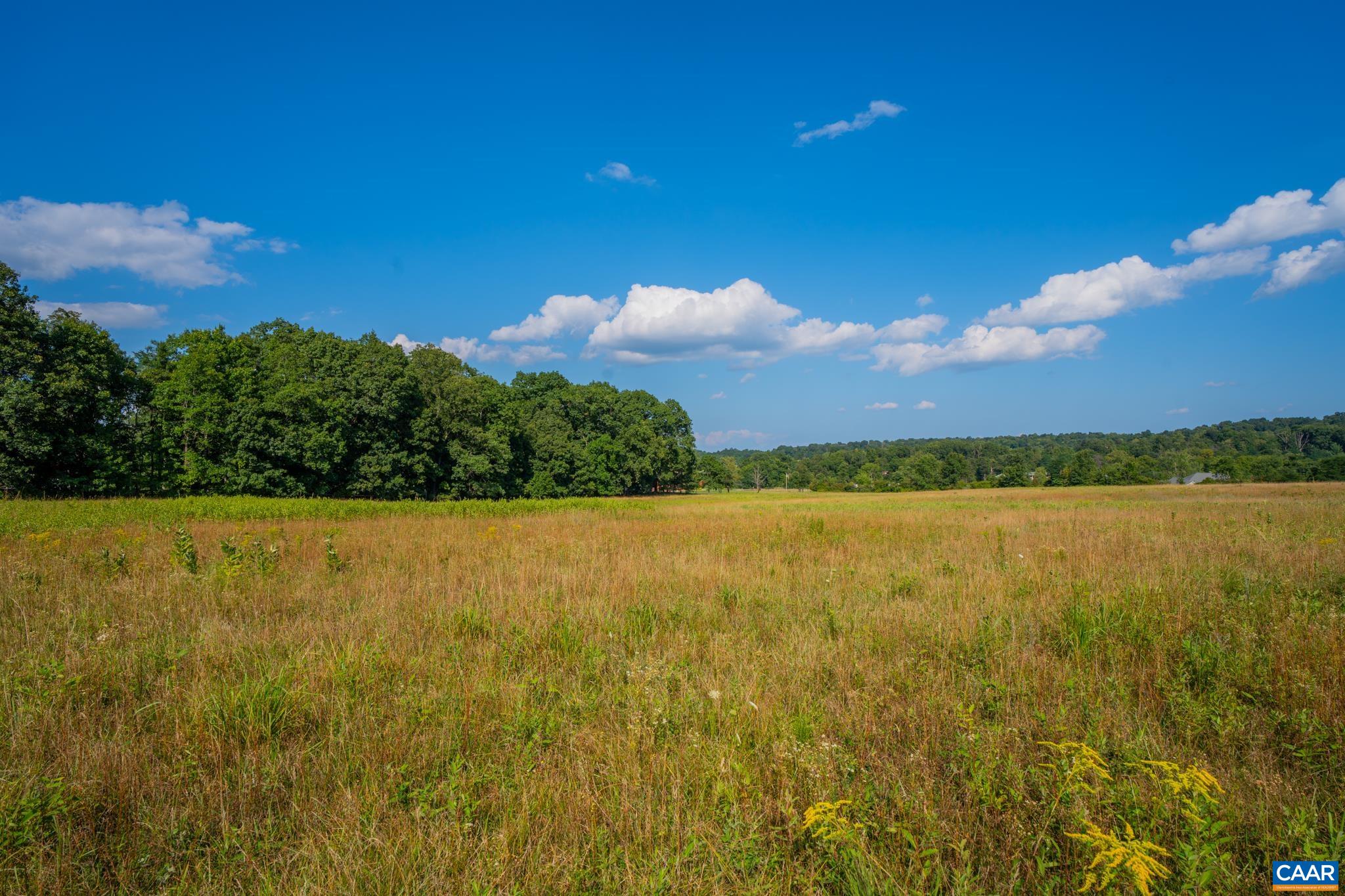 TBD N FROG HOLLOW RD, WINCHESTER, Virginia 22603, ,Farm,14,TBD N FROG HOLLOW RD,680385 MLS # 680385 TBD N FROG HOLLOW RD, WINCHESTER, Virginia 22603, ,Farm,14,TBD N FROG HOLLOW RD,680385 MLS # 680385