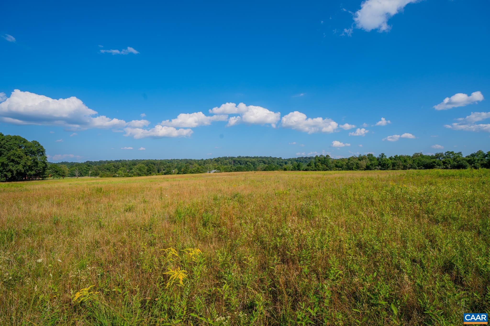 TBD N FROG HOLLOW RD, WINCHESTER, Virginia 22603, ,Farm,14,TBD N FROG HOLLOW RD,680385 MLS # 680385 TBD N FROG HOLLOW RD, WINCHESTER, Virginia 22603, ,Farm,14,TBD N FROG HOLLOW RD,680385 MLS # 680385
