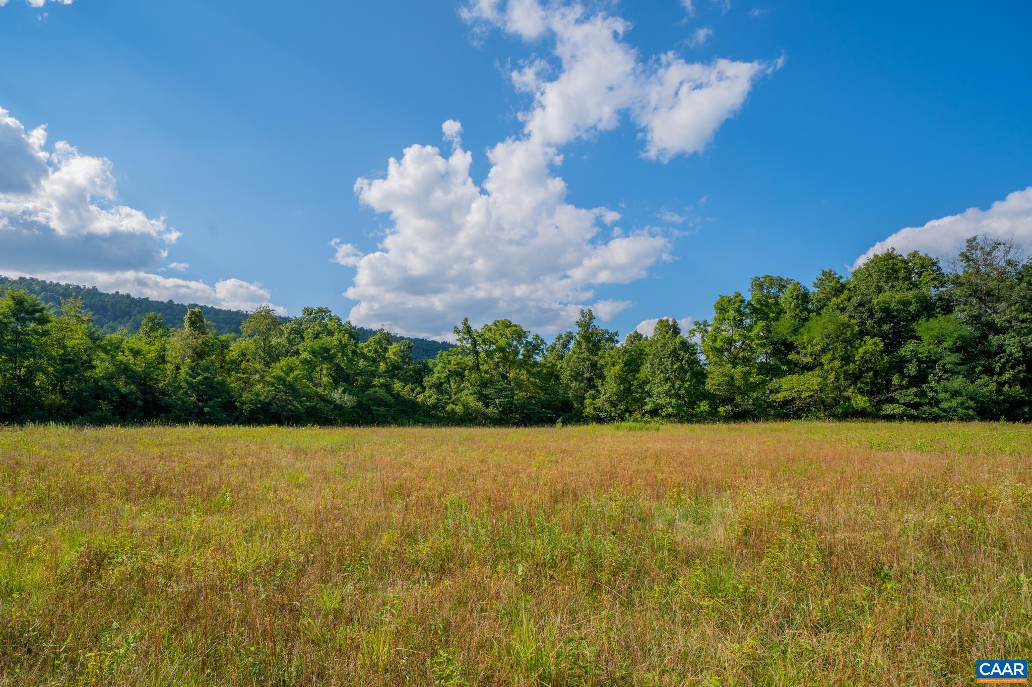 TBD N FROG HOLLOW RD, WINCHESTER, Virginia 22603, ,Farm,14,TBD N FROG HOLLOW RD,680385 MLS # 680385 TBD N FROG HOLLOW RD, WINCHESTER, Virginia 22603, ,Farm,14,TBD N FROG HOLLOW RD,680385 MLS # 680385