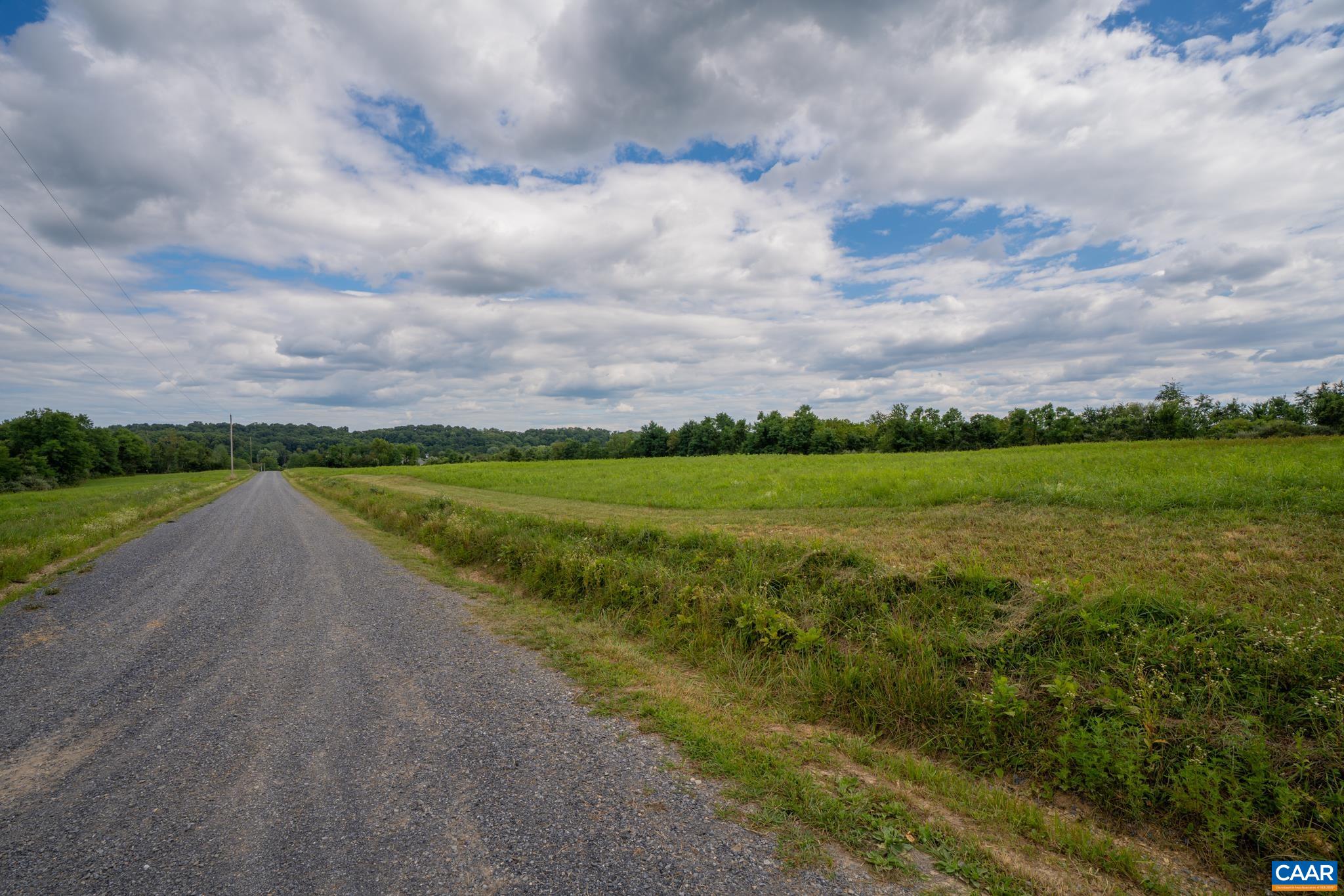 TBD N FROG HOLLOW RD, WINCHESTER, Virginia 22603, ,Farm,14,TBD N FROG HOLLOW RD,680385 MLS # 680385 TBD N FROG HOLLOW RD, WINCHESTER, Virginia 22603, ,Farm,14,TBD N FROG HOLLOW RD,680385 MLS # 680385
