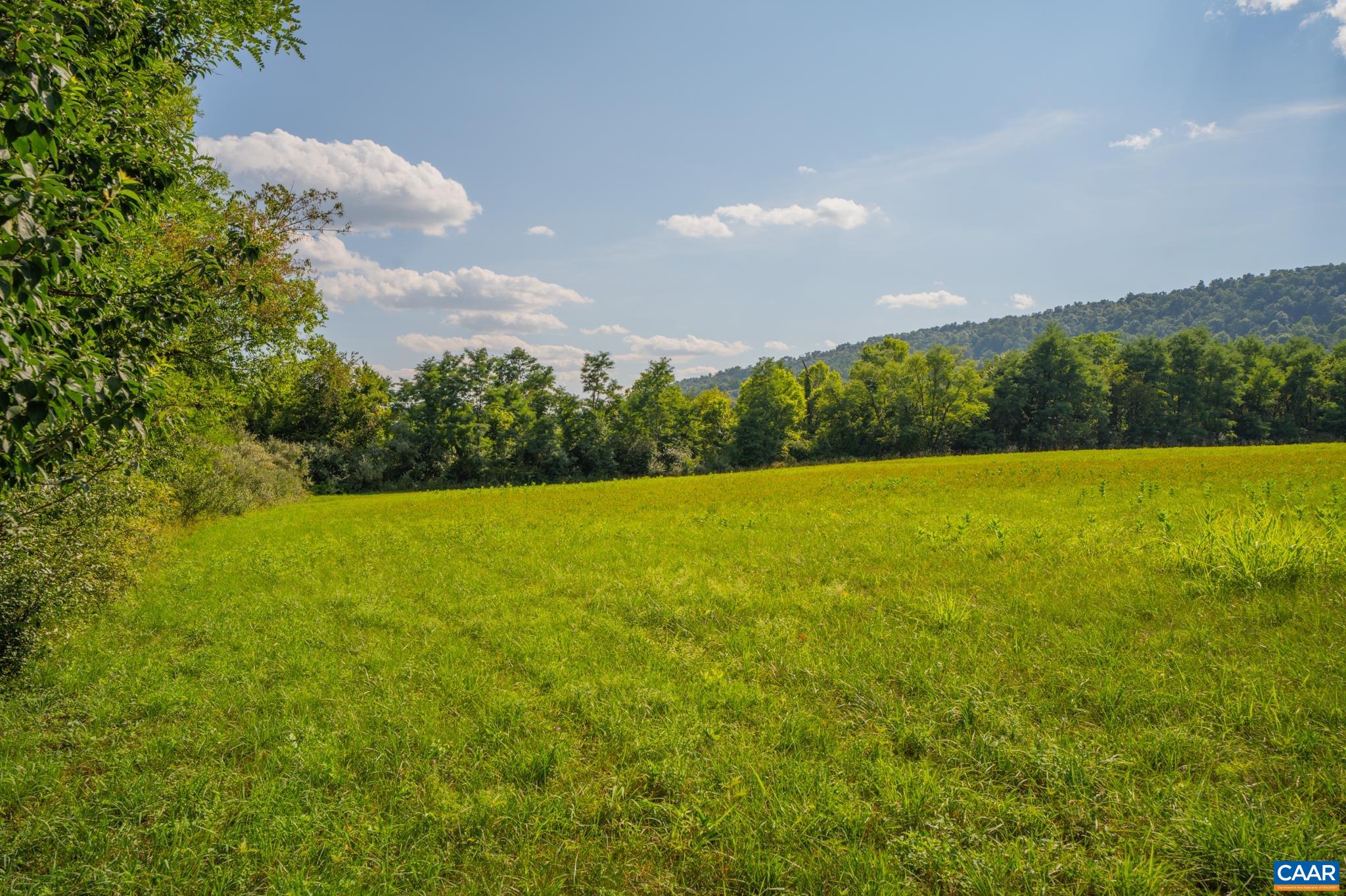 TBD N FROG HOLLOW RD, WINCHESTER, Virginia 22603, ,Farm,14,TBD N FROG HOLLOW RD,680385 MLS # 680385 TBD N FROG HOLLOW RD, WINCHESTER, Virginia 22603, ,Farm,14,TBD N FROG HOLLOW RD,680385 MLS # 680385