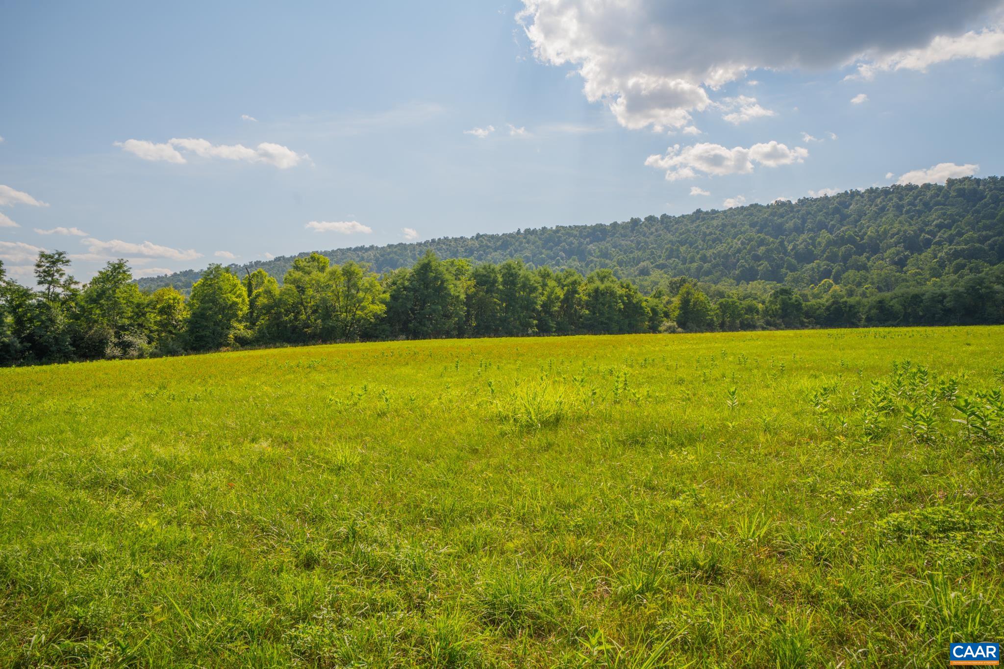 TBD N FROG HOLLOW RD, WINCHESTER, Virginia 22603, ,Farm,14,TBD N FROG HOLLOW RD,680385 MLS # 680385 TBD N FROG HOLLOW RD, WINCHESTER, Virginia 22603, ,Farm,14,TBD N FROG HOLLOW RD,680385 MLS # 680385