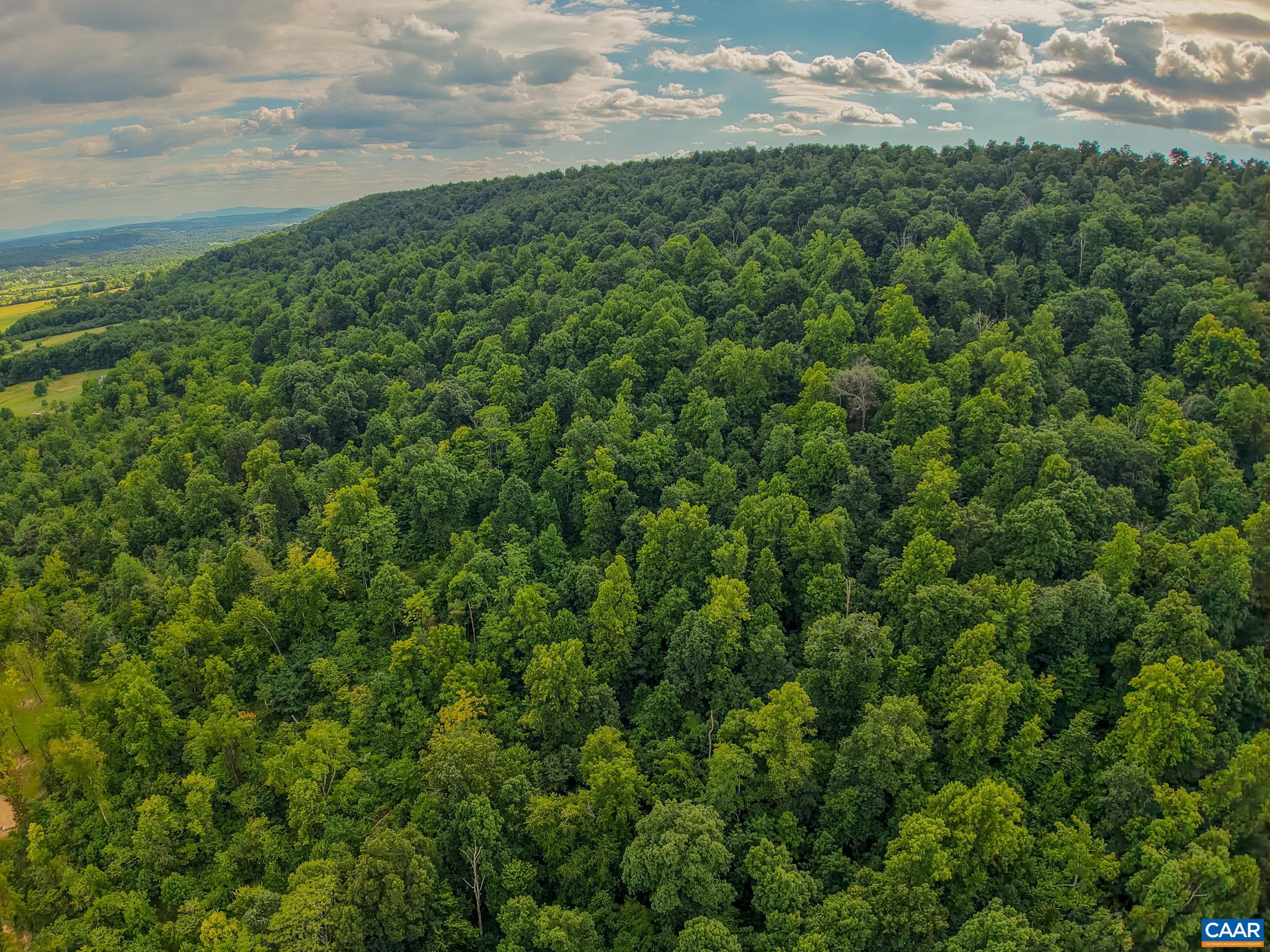 TBD N FROG HOLLOW RD, WINCHESTER, Virginia 22603, ,Farm,14,TBD N FROG HOLLOW RD,680385 MLS # 680385 TBD N FROG HOLLOW RD, WINCHESTER, Virginia 22603, ,Farm,14,TBD N FROG HOLLOW RD,680385 MLS # 680385