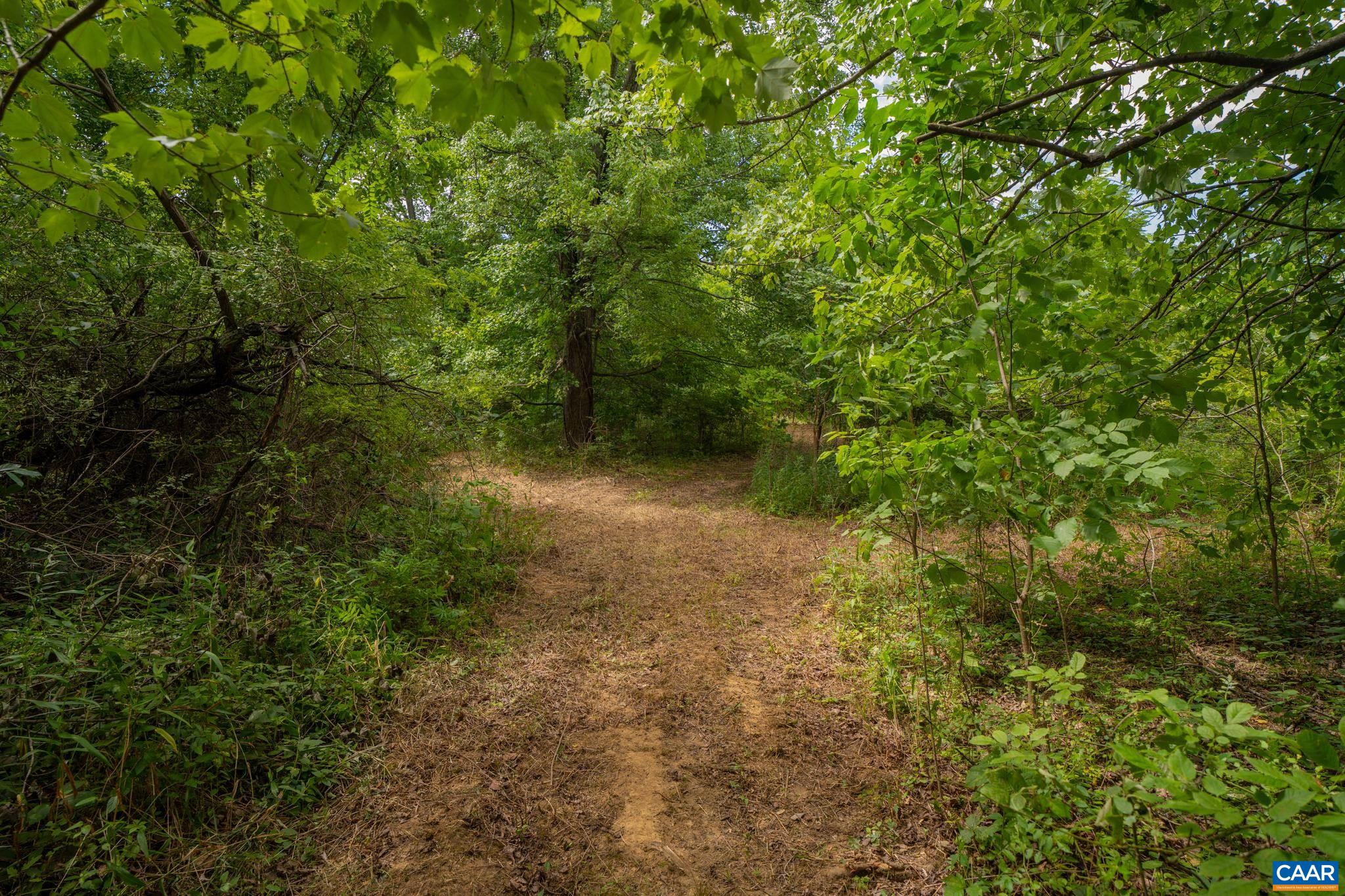 TBD N FROG HOLLOW RD, WINCHESTER, Virginia 22603, ,Farm,14,TBD N FROG HOLLOW RD,680385 MLS # 680385 TBD N FROG HOLLOW RD, WINCHESTER, Virginia 22603, ,Farm,14,TBD N FROG HOLLOW RD,680385 MLS # 680385