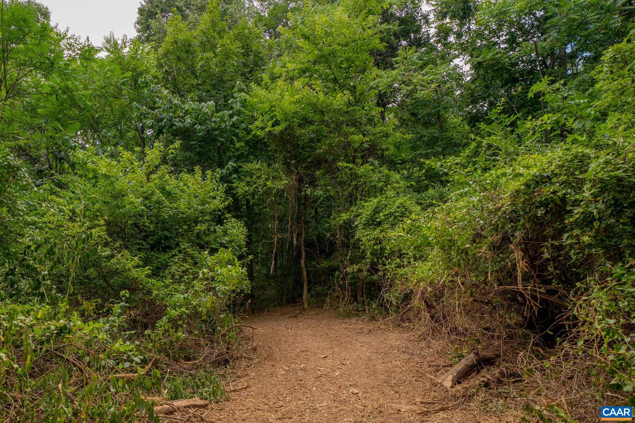 TBD N FROG HOLLOW RD, WINCHESTER, Virginia 22603, ,Farm,14,TBD N FROG HOLLOW RD,680385 MLS # 680385 TBD N FROG HOLLOW RD, WINCHESTER, Virginia 22603, ,Farm,14,TBD N FROG HOLLOW RD,680385 MLS # 680385