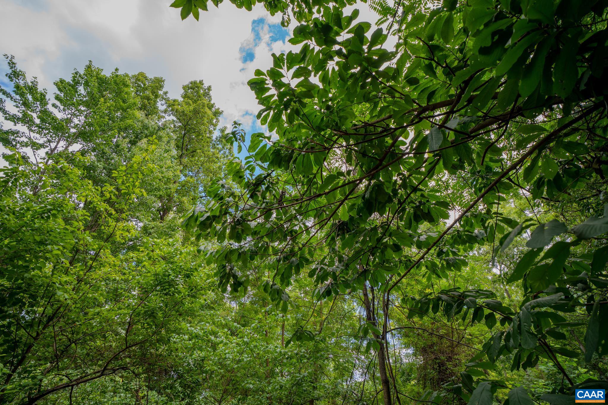 TBD N FROG HOLLOW RD, WINCHESTER, Virginia 22603, ,Farm,14,TBD N FROG HOLLOW RD,680385 MLS # 680385 TBD N FROG HOLLOW RD, WINCHESTER, Virginia 22603, ,Farm,14,TBD N FROG HOLLOW RD,680385 MLS # 680385