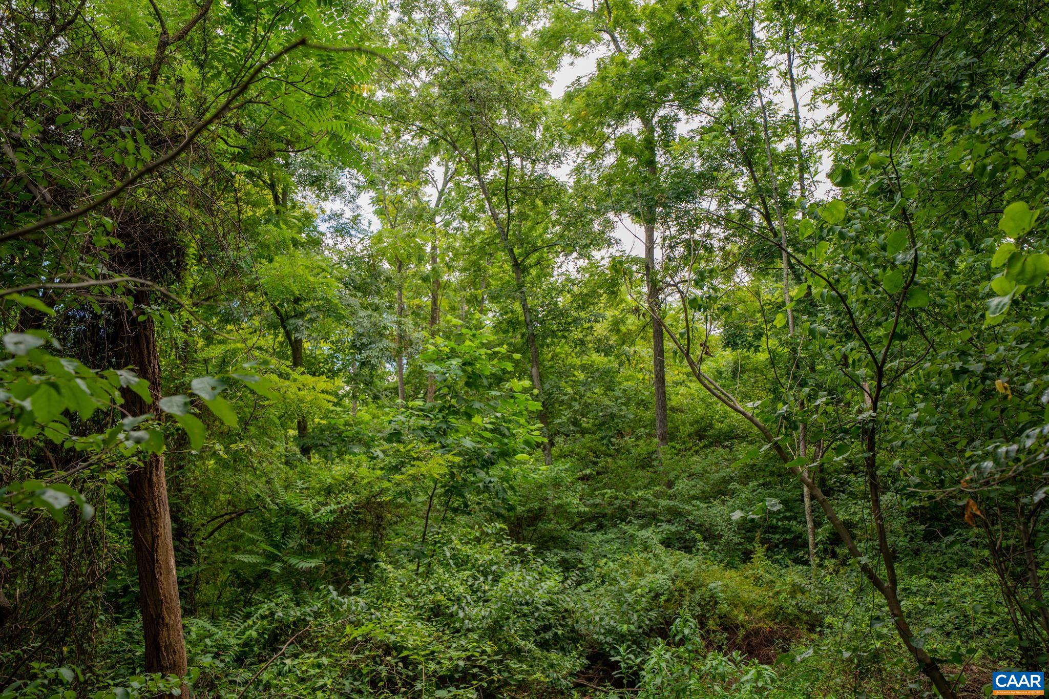 TBD N FROG HOLLOW RD, WINCHESTER, Virginia 22603, ,Farm,14,TBD N FROG HOLLOW RD,680385 MLS # 680385 TBD N FROG HOLLOW RD, WINCHESTER, Virginia 22603, ,Farm,14,TBD N FROG HOLLOW RD,680385 MLS # 680385