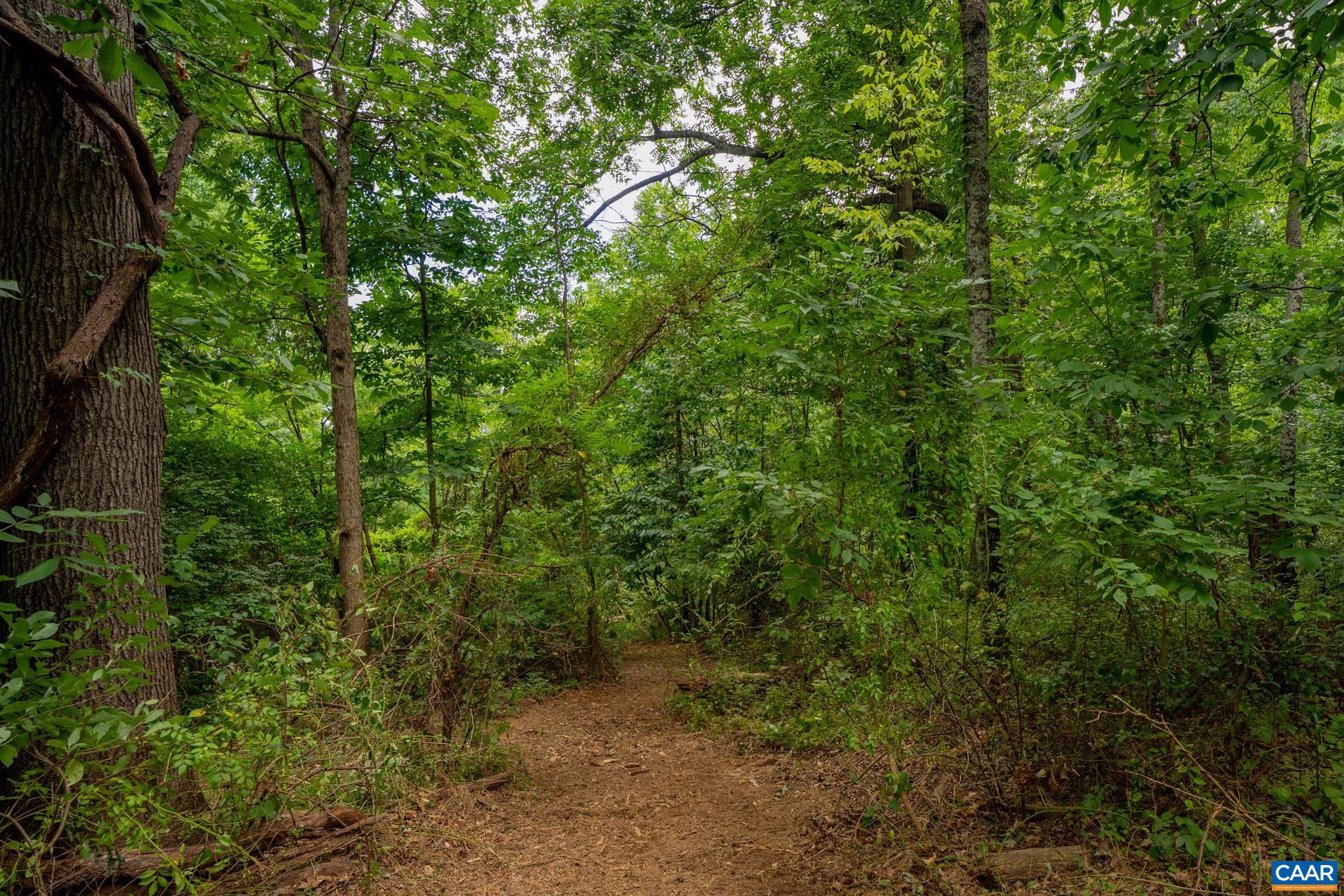 TBD N FROG HOLLOW RD, WINCHESTER, Virginia 22603, ,Farm,14,TBD N FROG HOLLOW RD,680385 MLS # 680385 TBD N FROG HOLLOW RD, WINCHESTER, Virginia 22603, ,Farm,14,TBD N FROG HOLLOW RD,680385 MLS # 680385