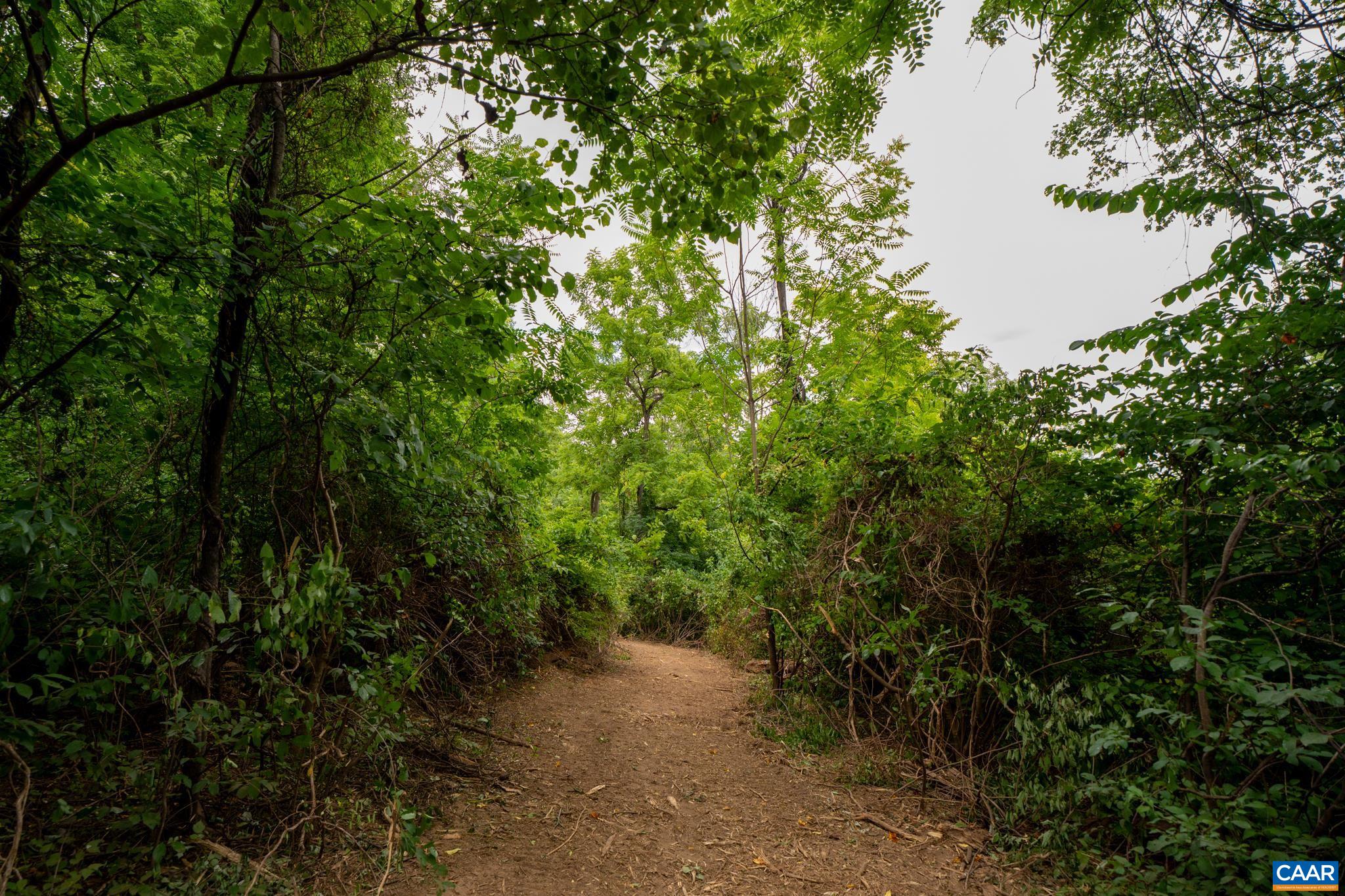 TBD N FROG HOLLOW RD, WINCHESTER, Virginia 22603, ,Farm,14,TBD N FROG HOLLOW RD,680385 MLS # 680385 TBD N FROG HOLLOW RD, WINCHESTER, Virginia 22603, ,Farm,14,TBD N FROG HOLLOW RD,680385 MLS # 680385