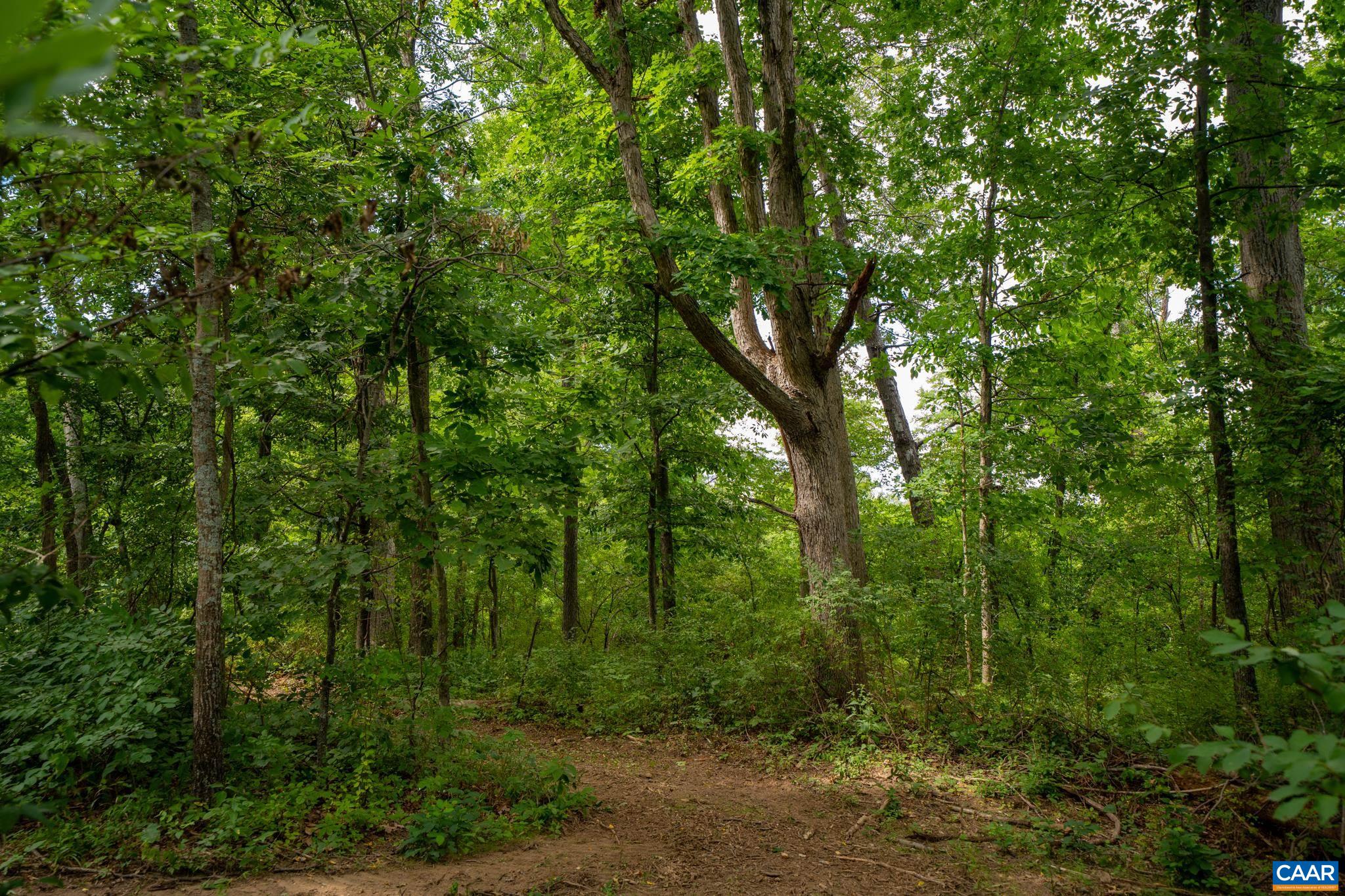 TBD N FROG HOLLOW RD, WINCHESTER, Virginia 22603, ,Farm,14,TBD N FROG HOLLOW RD,680385 MLS # 680385 TBD N FROG HOLLOW RD, WINCHESTER, Virginia 22603, ,Farm,14,TBD N FROG HOLLOW RD,680385 MLS # 680385