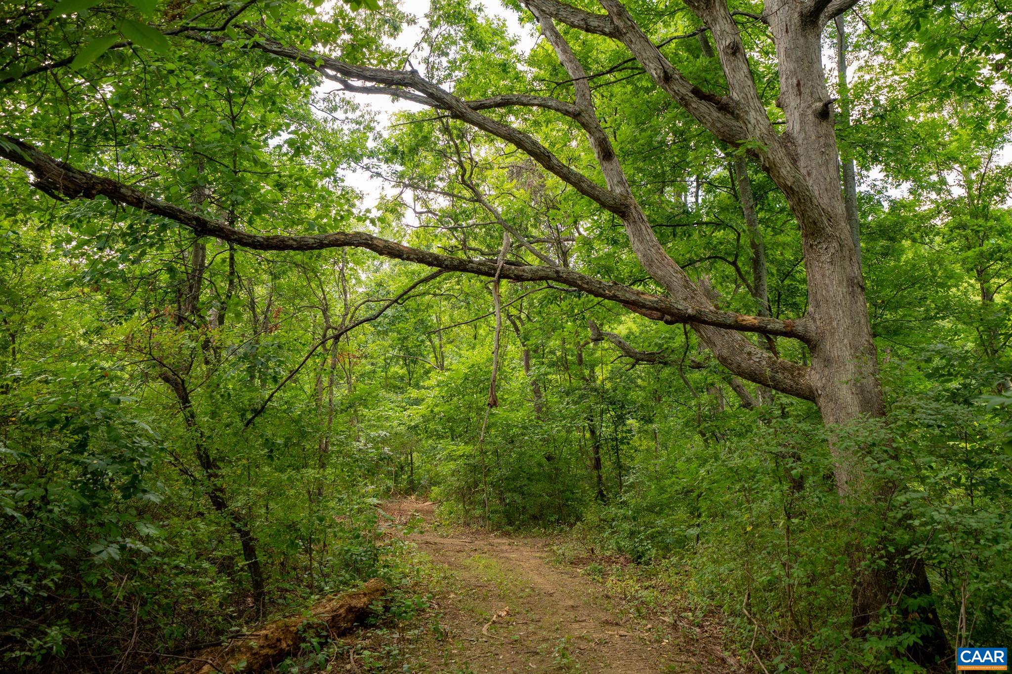 TBD N FROG HOLLOW RD, WINCHESTER, Virginia 22603, ,Farm,14,TBD N FROG HOLLOW RD,680385 MLS # 680385 TBD N FROG HOLLOW RD, WINCHESTER, Virginia 22603, ,Farm,14,TBD N FROG HOLLOW RD,680385 MLS # 680385