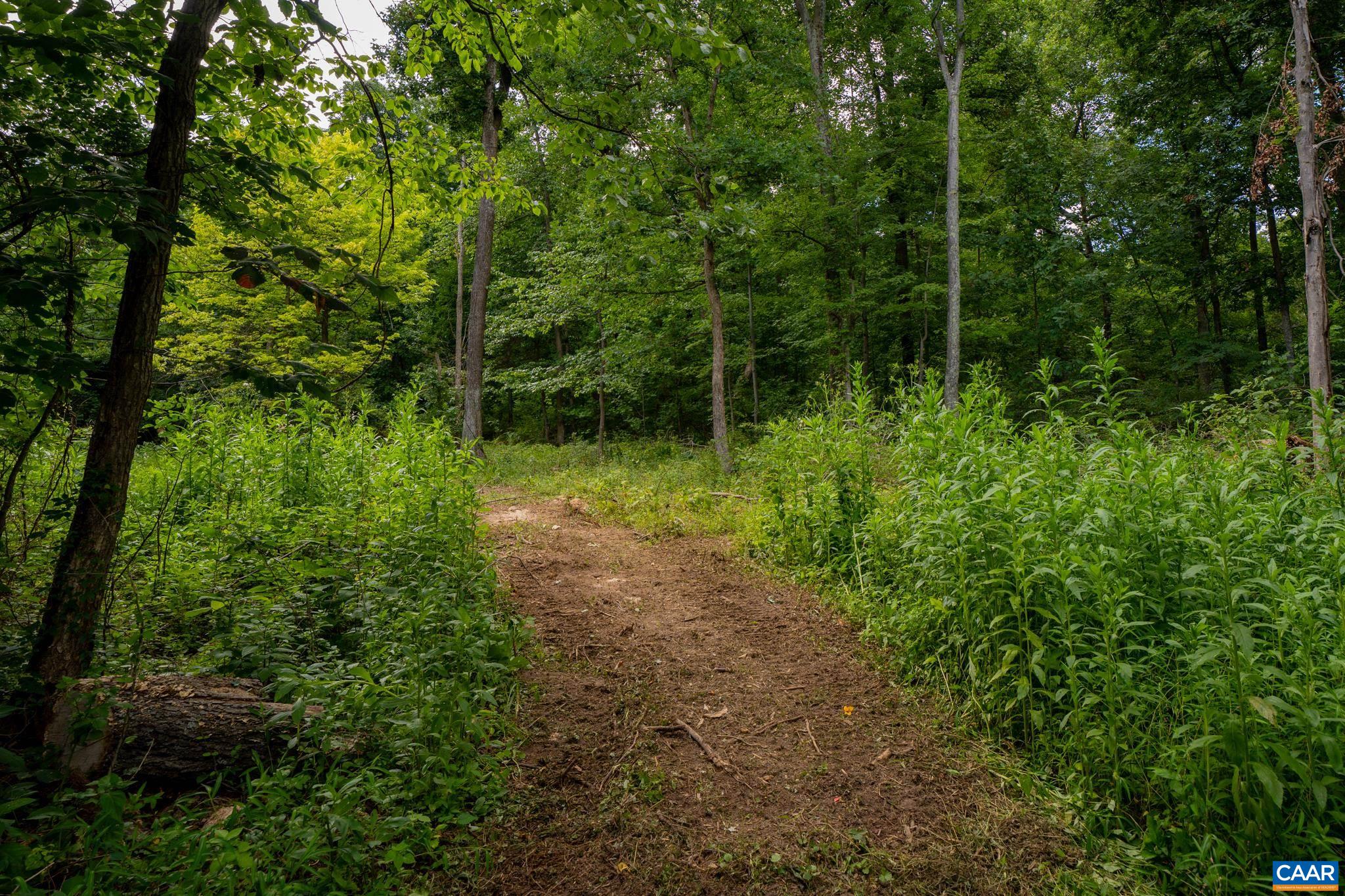 TBD N FROG HOLLOW RD, WINCHESTER, Virginia 22603, ,Farm,14,TBD N FROG HOLLOW RD,680385 MLS # 680385 TBD N FROG HOLLOW RD, WINCHESTER, Virginia 22603, ,Farm,14,TBD N FROG HOLLOW RD,680385 MLS # 680385