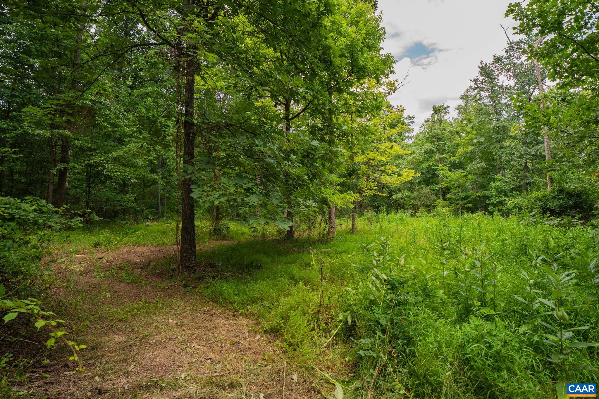 TBD N FROG HOLLOW RD, WINCHESTER, Virginia 22603, ,Farm,14,TBD N FROG HOLLOW RD,680385 MLS # 680385 TBD N FROG HOLLOW RD, WINCHESTER, Virginia 22603, ,Farm,14,TBD N FROG HOLLOW RD,680385 MLS # 680385