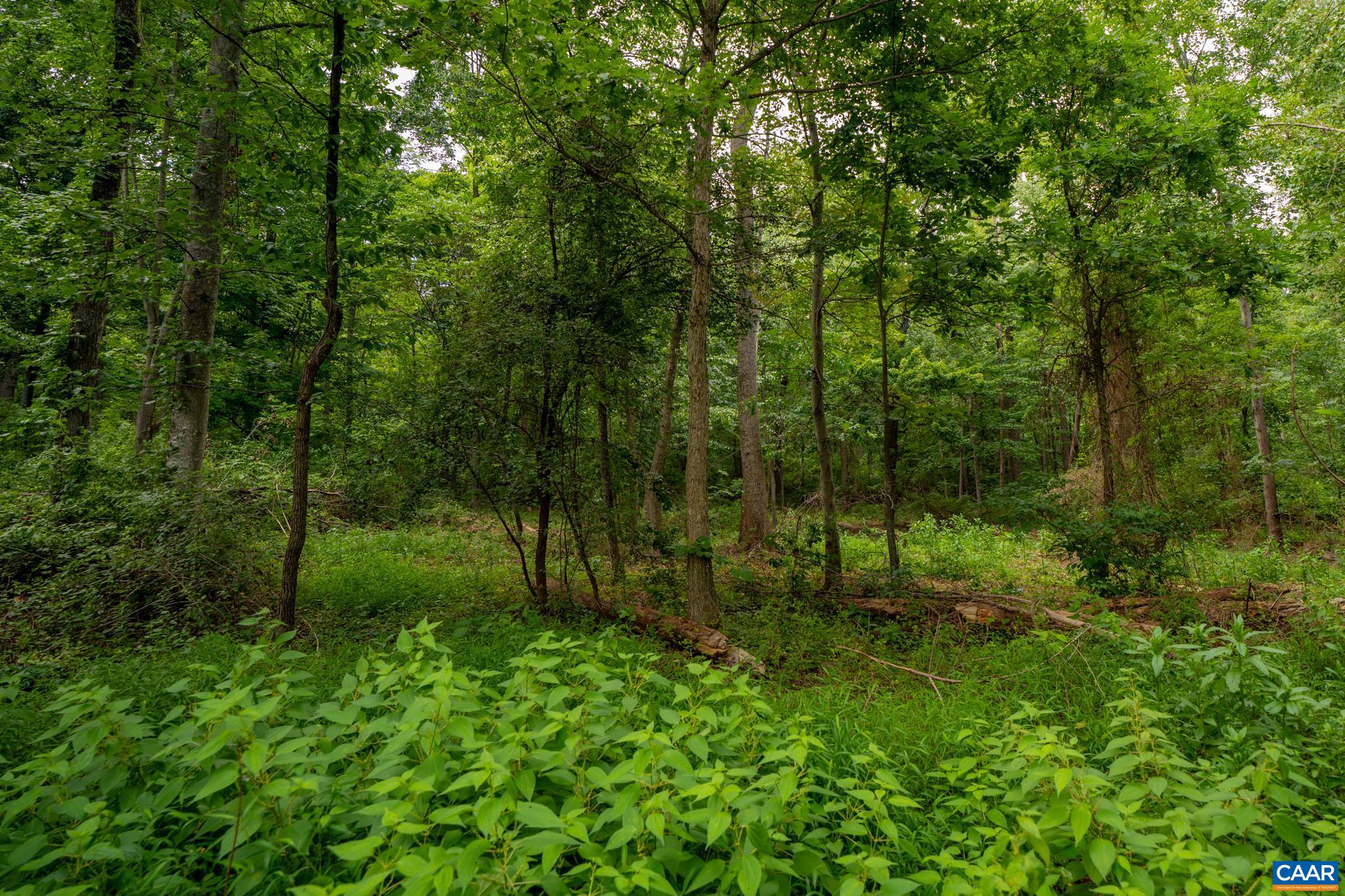 TBD N FROG HOLLOW RD, WINCHESTER, Virginia 22603, ,Farm,14,TBD N FROG HOLLOW RD,680385 MLS # 680385 TBD N FROG HOLLOW RD, WINCHESTER, Virginia 22603, ,Farm,14,TBD N FROG HOLLOW RD,680385 MLS # 680385