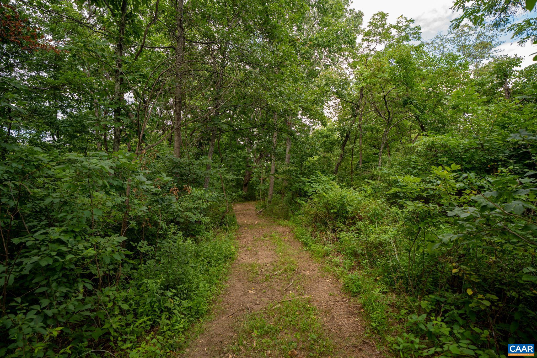 TBD N FROG HOLLOW RD, WINCHESTER, Virginia 22603, ,Farm,14,TBD N FROG HOLLOW RD,680385 MLS # 680385 TBD N FROG HOLLOW RD, WINCHESTER, Virginia 22603, ,Farm,14,TBD N FROG HOLLOW RD,680385 MLS # 680385