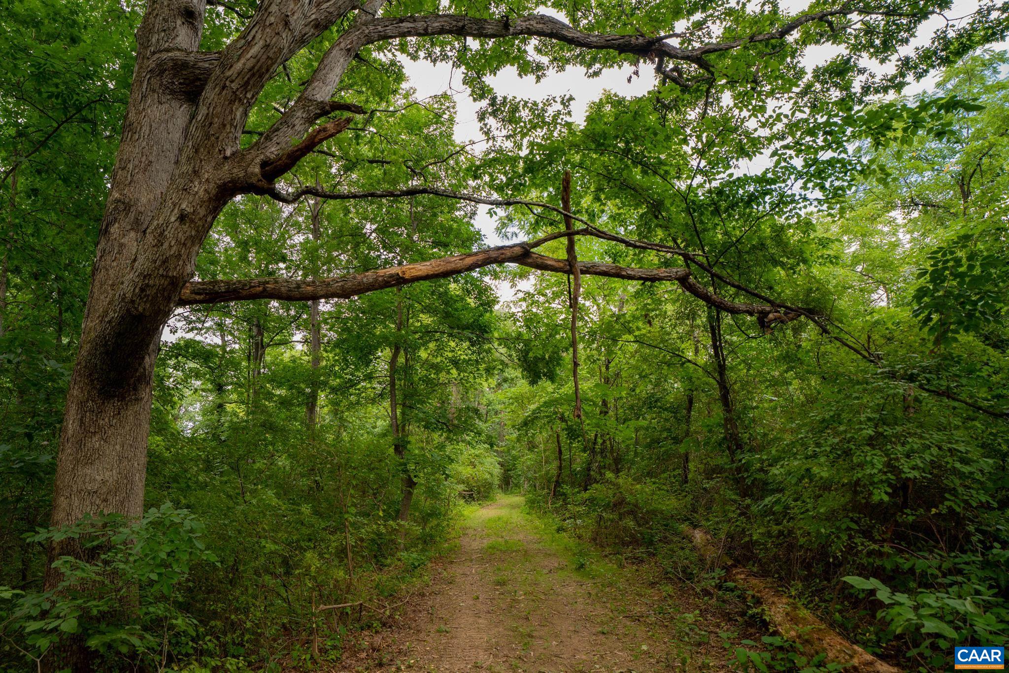 TBD N FROG HOLLOW RD, WINCHESTER, Virginia 22603, ,Farm,14,TBD N FROG HOLLOW RD,680385 MLS # 680385 TBD N FROG HOLLOW RD, WINCHESTER, Virginia 22603, ,Farm,14,TBD N FROG HOLLOW RD,680385 MLS # 680385